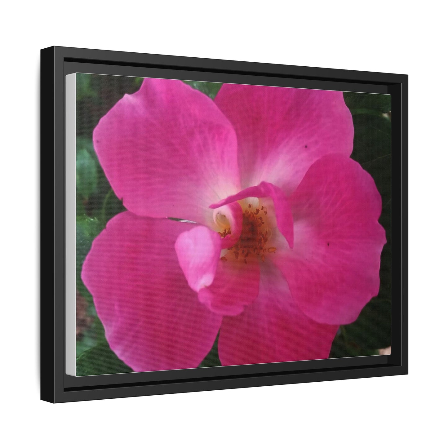 Framed Floral Canvas Art Print | Vibrant Pink Flower Decor, Wall Art for Home, Gift for Her, Mother's Day, Birthday