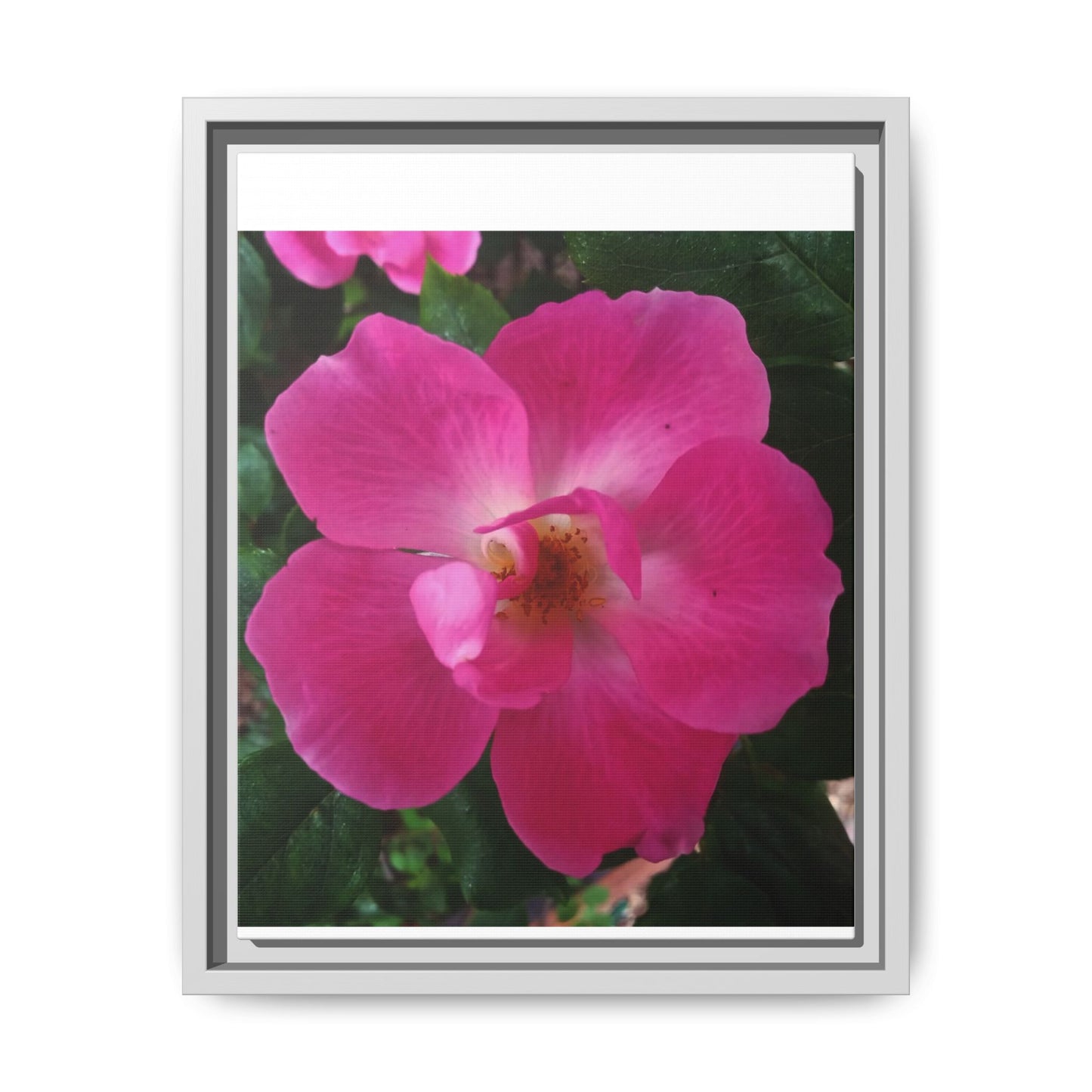 Framed Floral Canvas Art Print | Vibrant Pink Flower Decor, Wall Art for Home, Gift for Her, Mother's Day, Birthday