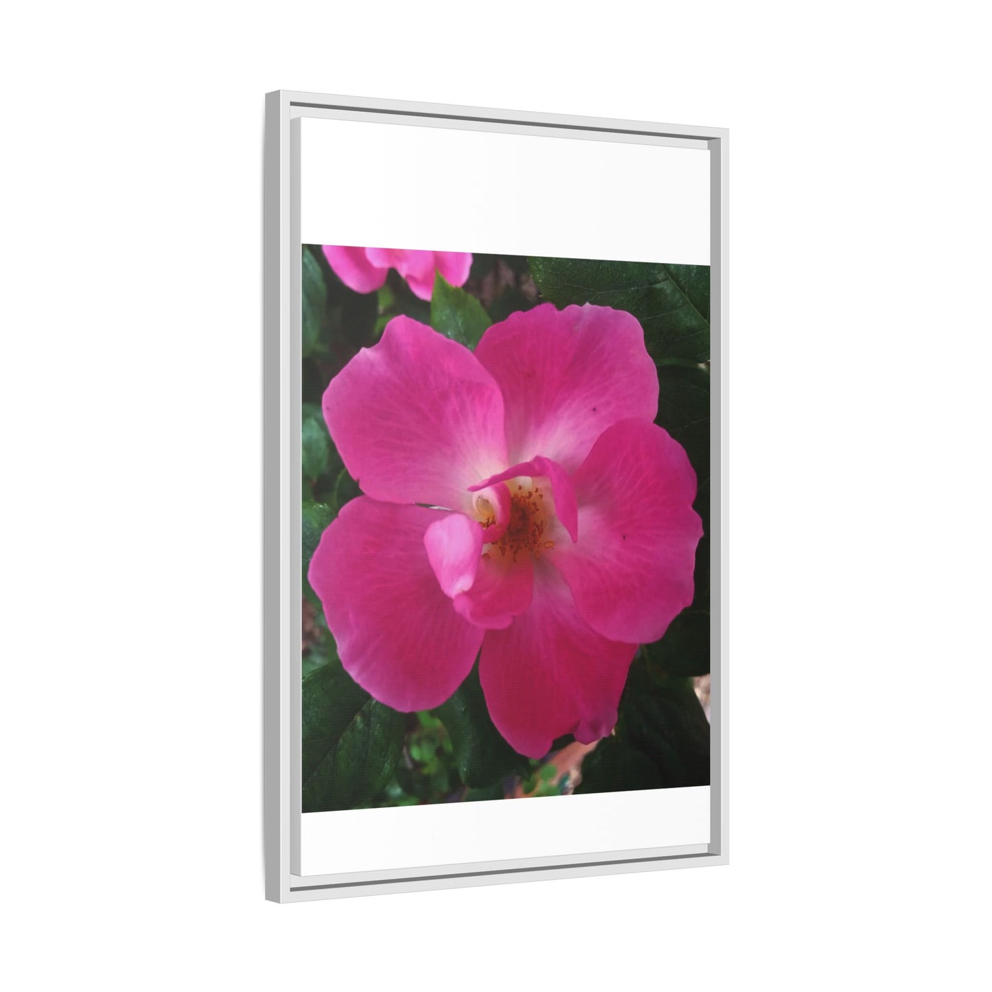 Framed Floral Canvas Art Print | Vibrant Pink Flower Decor, Wall Art for Home, Gift for Her, Mother's Day, Birthday