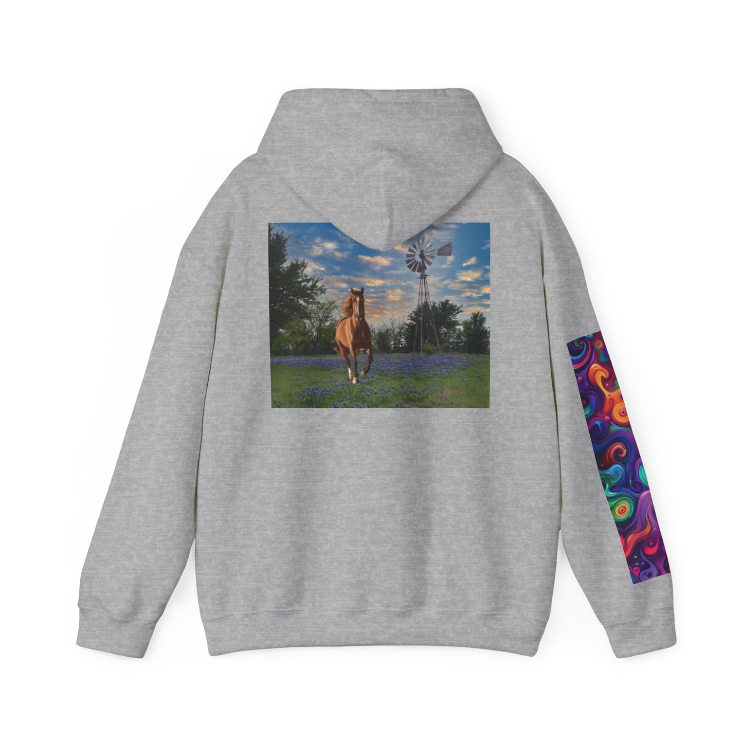 Sweat à capuche unisexe inspiré du Texas avec manches colorées 