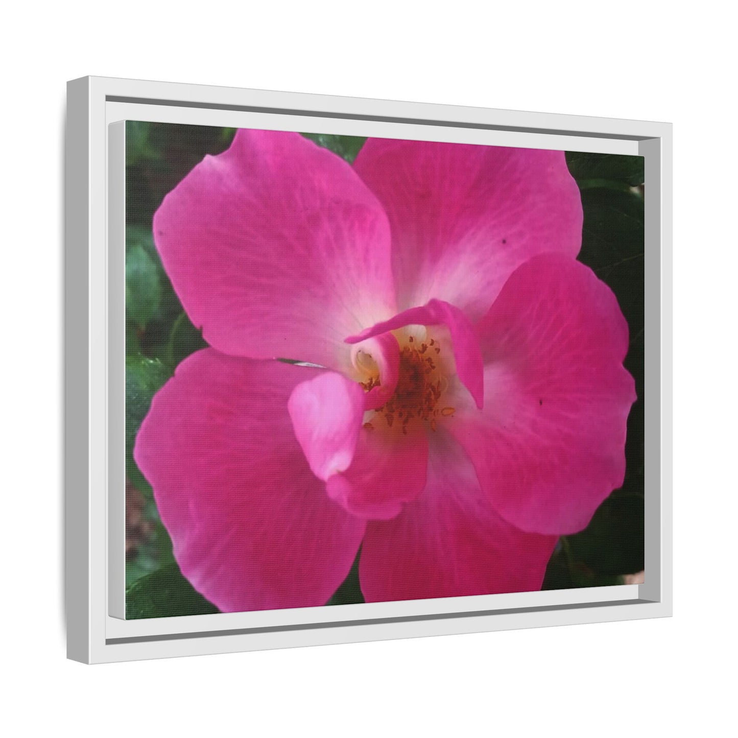 Framed Floral Canvas Art Print | Vibrant Pink Flower Decor, Wall Art for Home, Gift for Her, Mother's Day, Birthday