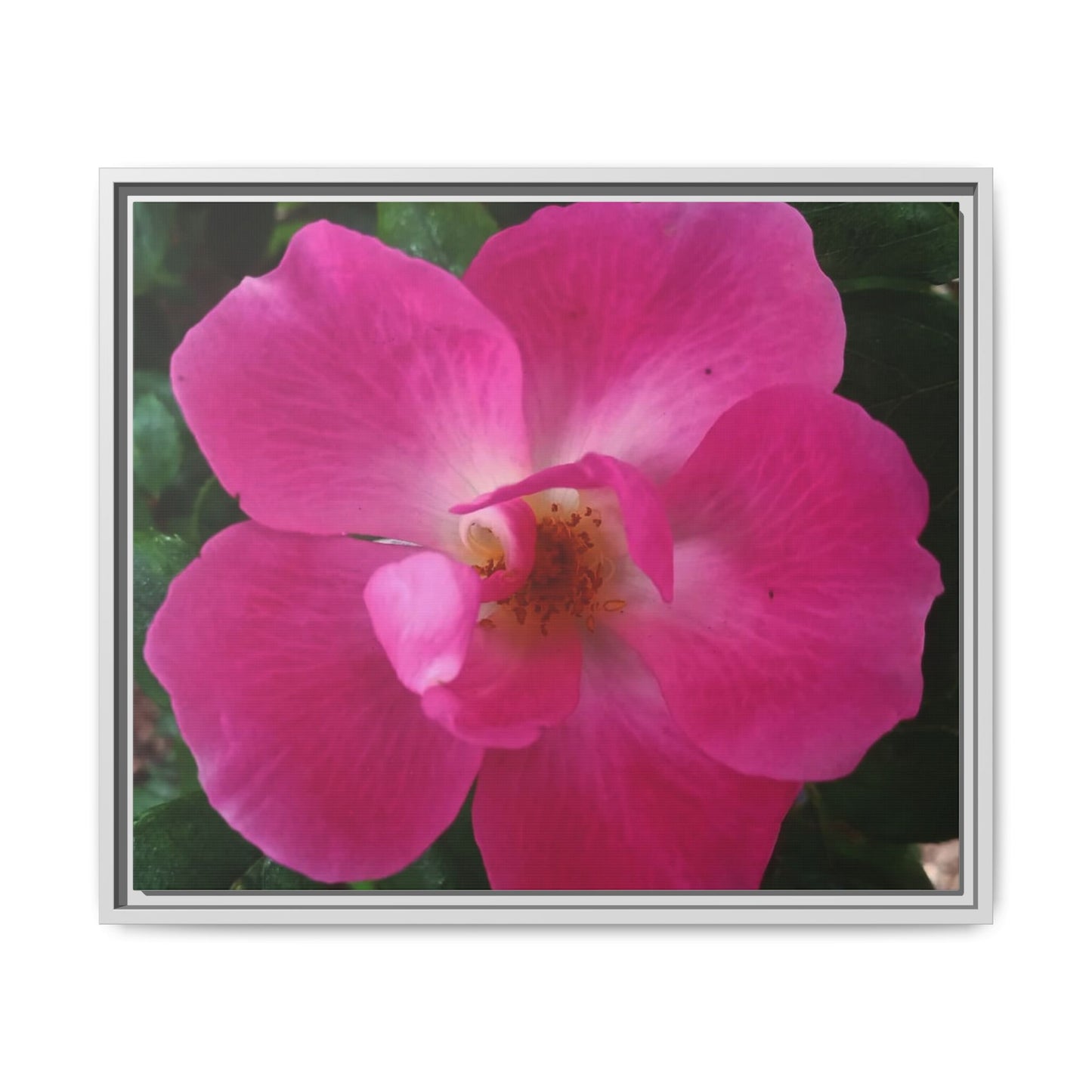 Framed Floral Canvas Art Print | Vibrant Pink Flower Decor, Wall Art for Home, Gift for Her, Mother's Day, Birthday