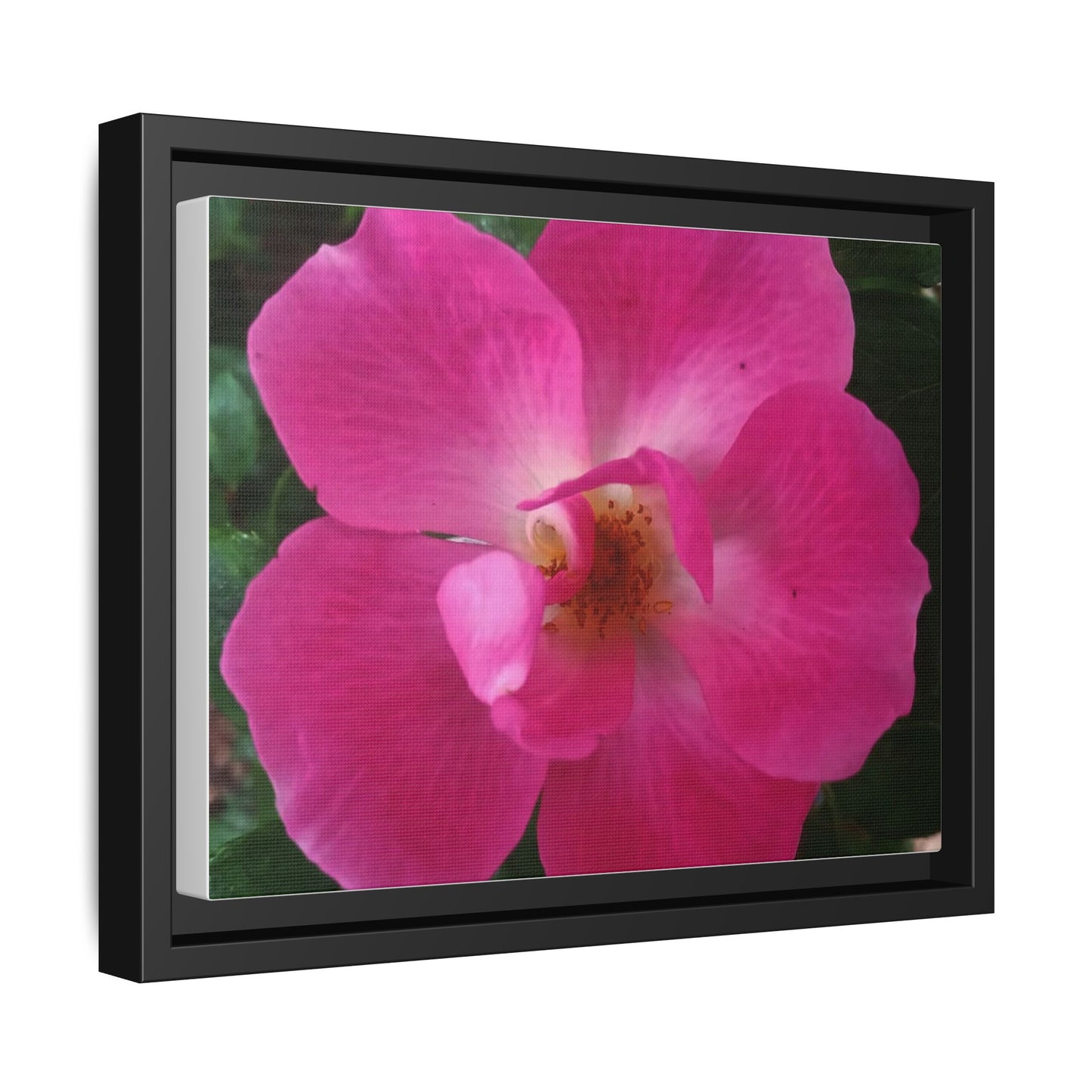 Framed Floral Canvas Art Print | Vibrant Pink Flower Decor, Wall Art for Home, Gift for Her, Mother's Day, Birthday