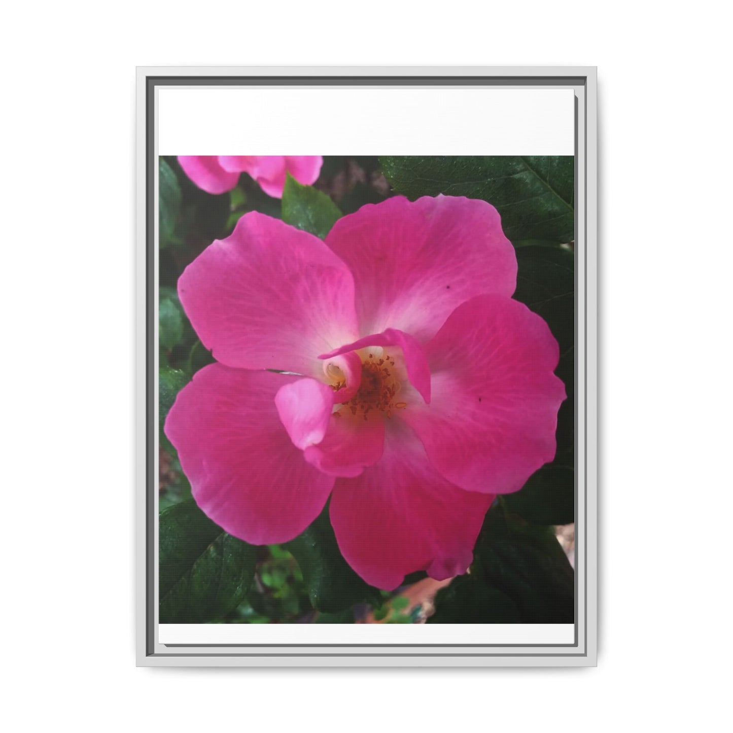 Framed Floral Canvas Art Print | Vibrant Pink Flower Decor, Wall Art for Home, Gift for Her, Mother's Day, Birthday