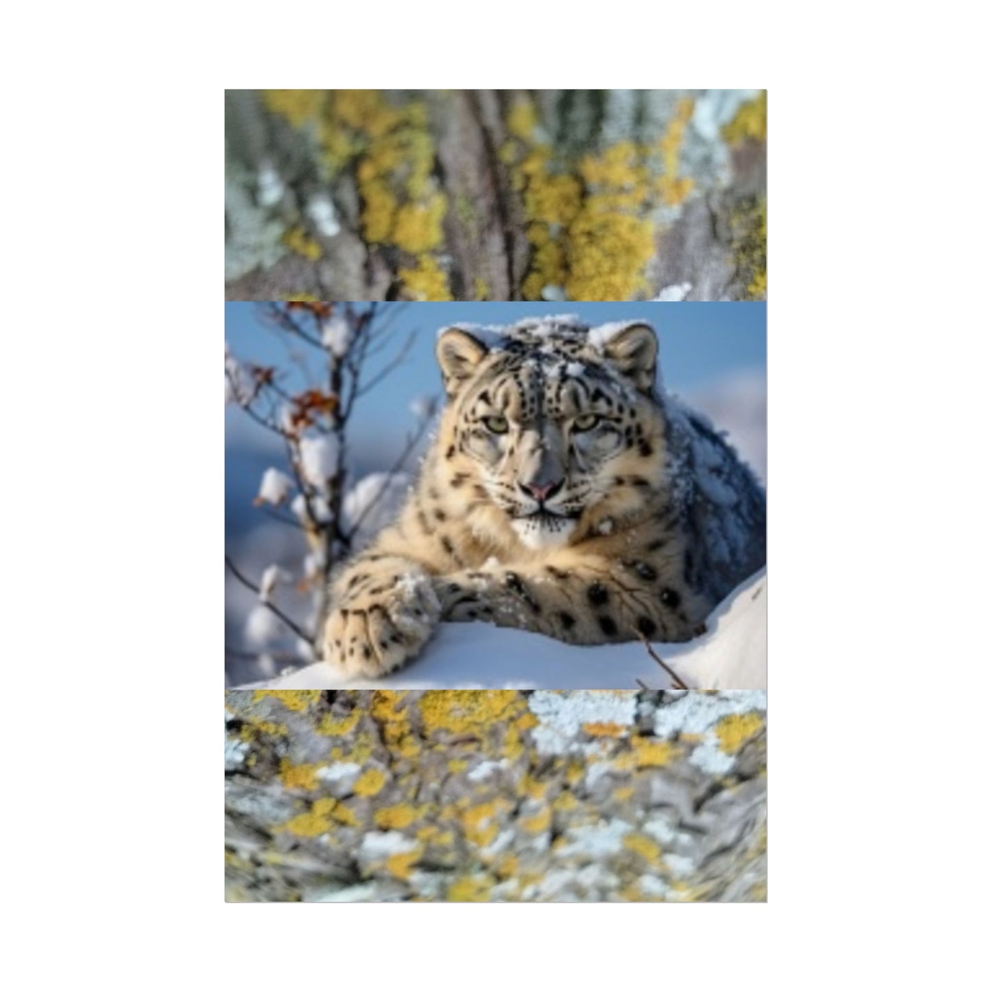 Wildlife Rolled Posters Looks Fabulous in every Room!