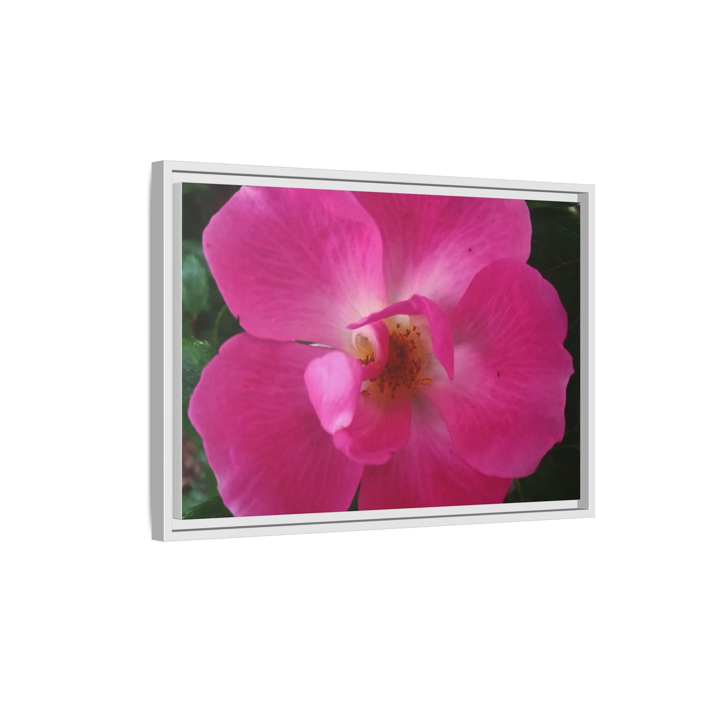 Framed Floral Canvas Art Print | Vibrant Pink Flower Decor, Wall Art for Home, Gift for Her, Mother's Day, Birthday