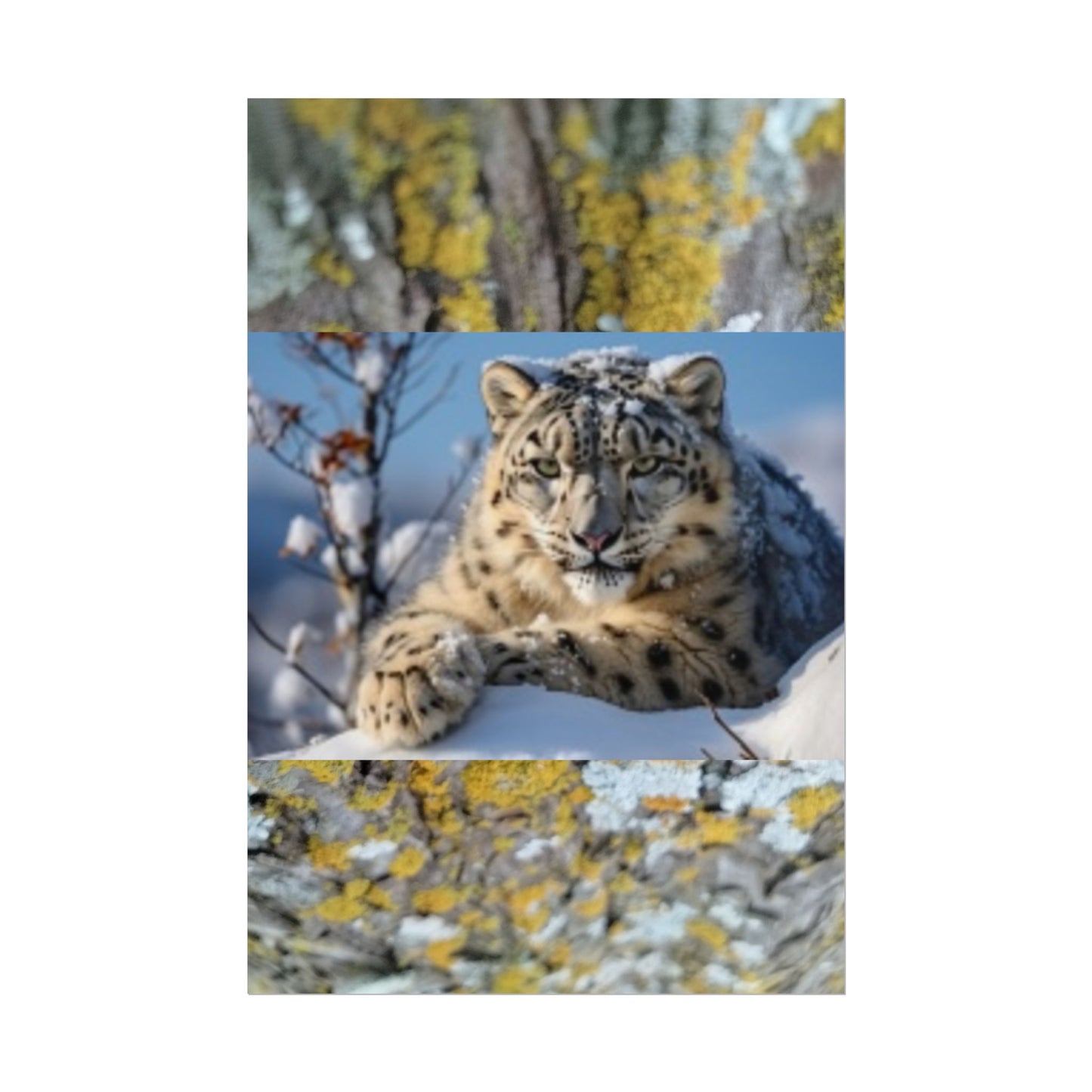 Wildlife Rolled Posters Looks Fabulous in every Room!