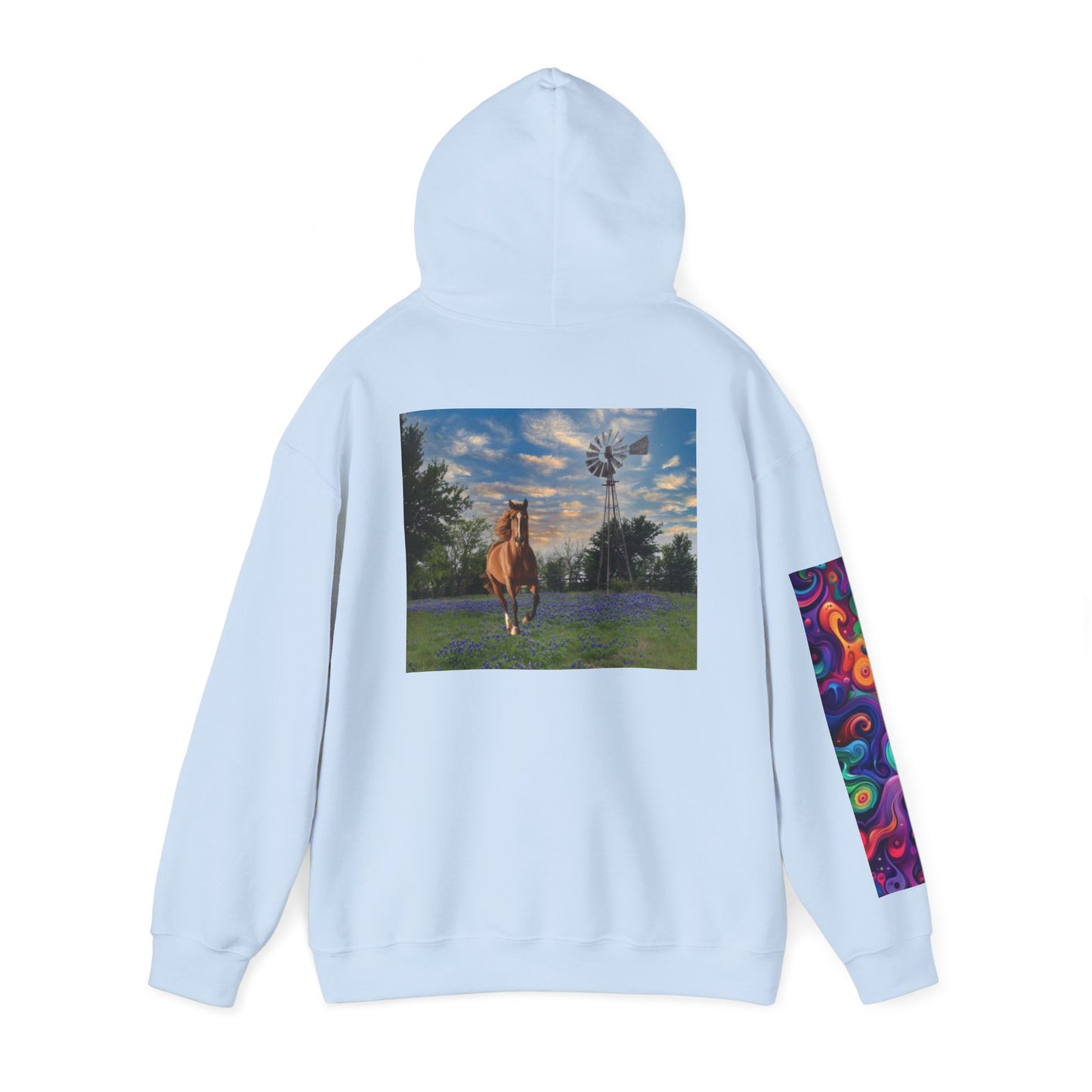 Sweat à capuche unisexe inspiré du Texas avec manches colorées 