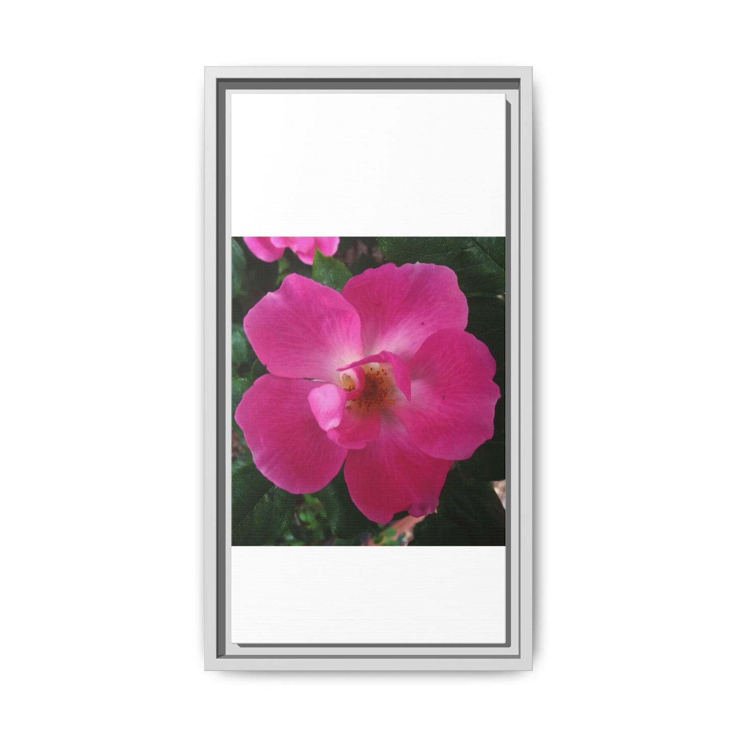 Framed Floral Canvas Art Print | Vibrant Pink Flower Decor, Wall Art for Home, Gift for Her, Mother's Day, Birthday