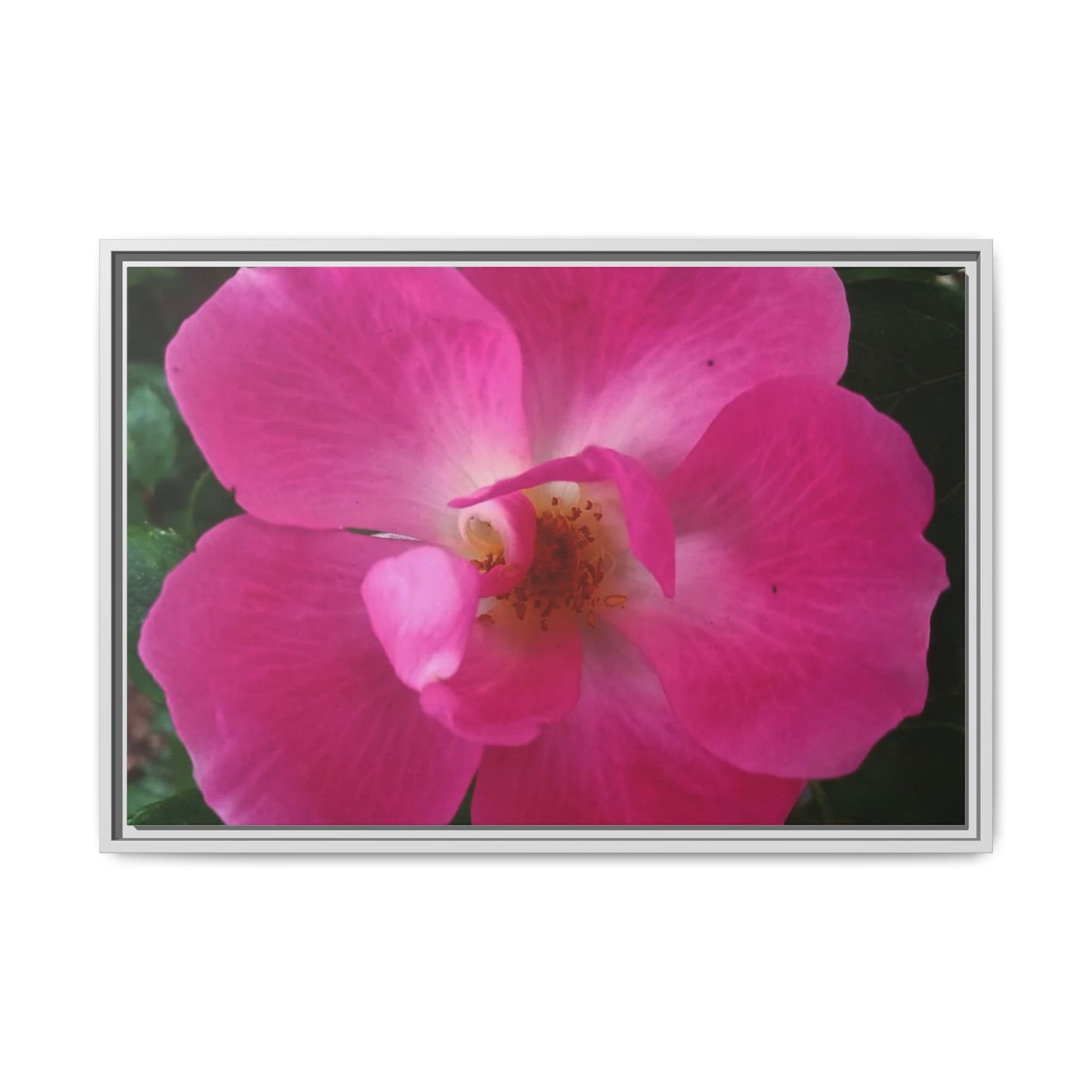 Framed Floral Canvas Art Print | Vibrant Pink Flower Decor, Wall Art for Home, Gift for Her, Mother's Day, Birthday