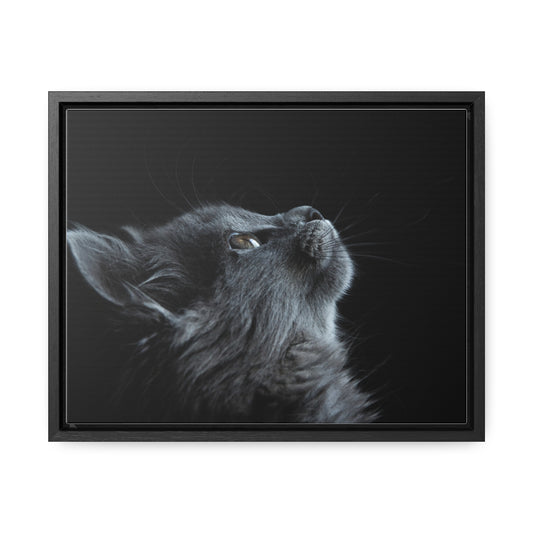 Gallery Canvas Wraps, Horizontal Frame