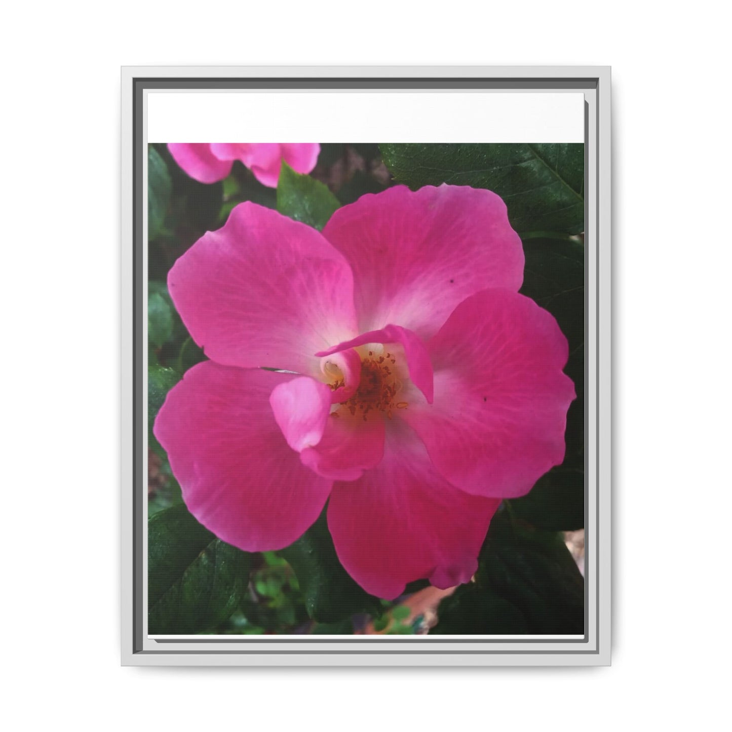 Framed Floral Canvas Art Print | Vibrant Pink Flower Decor, Wall Art for Home, Gift for Her, Mother's Day, Birthday