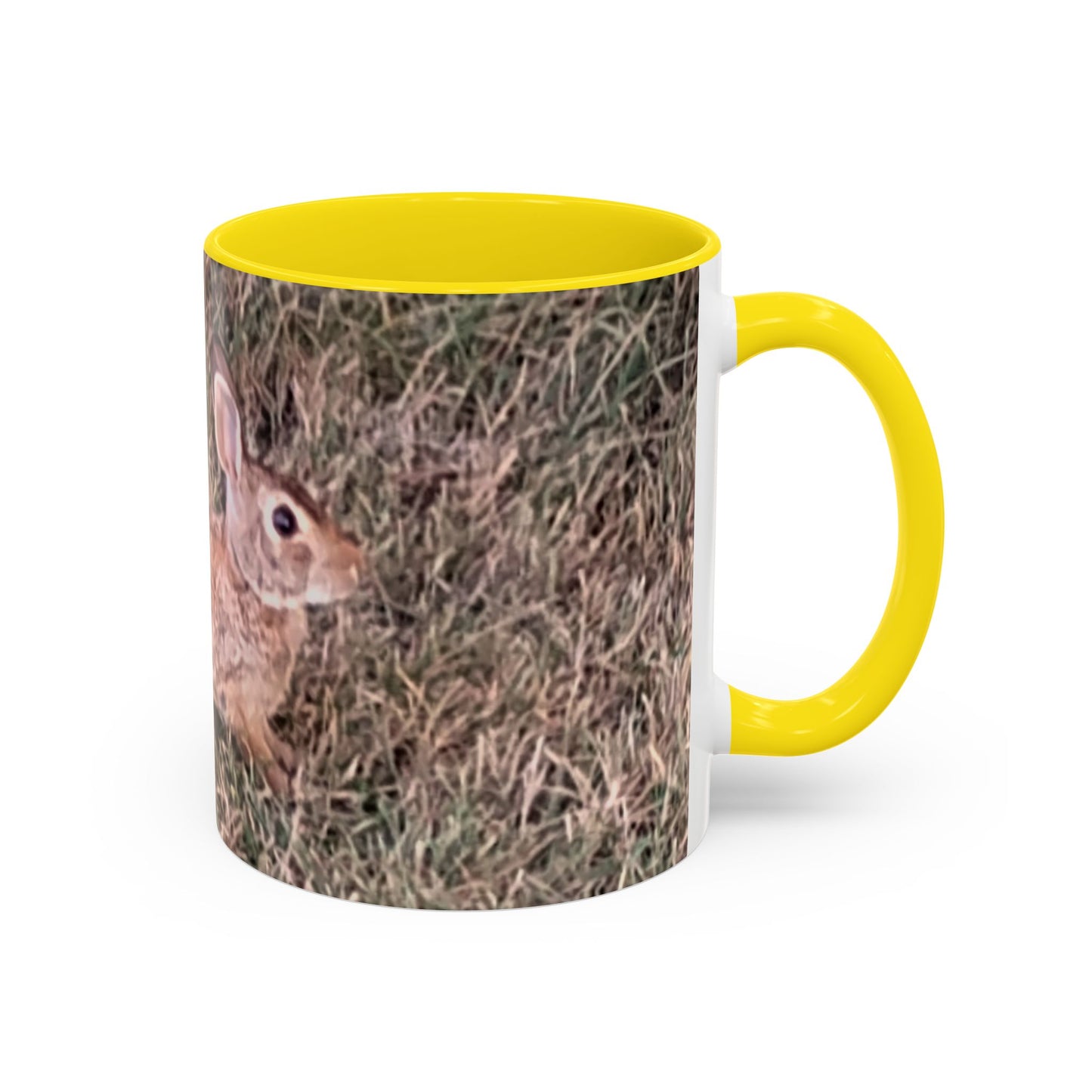 Rabbit Accent Coffee Mug (11oz) Such a Wonderful Birthday Gift!