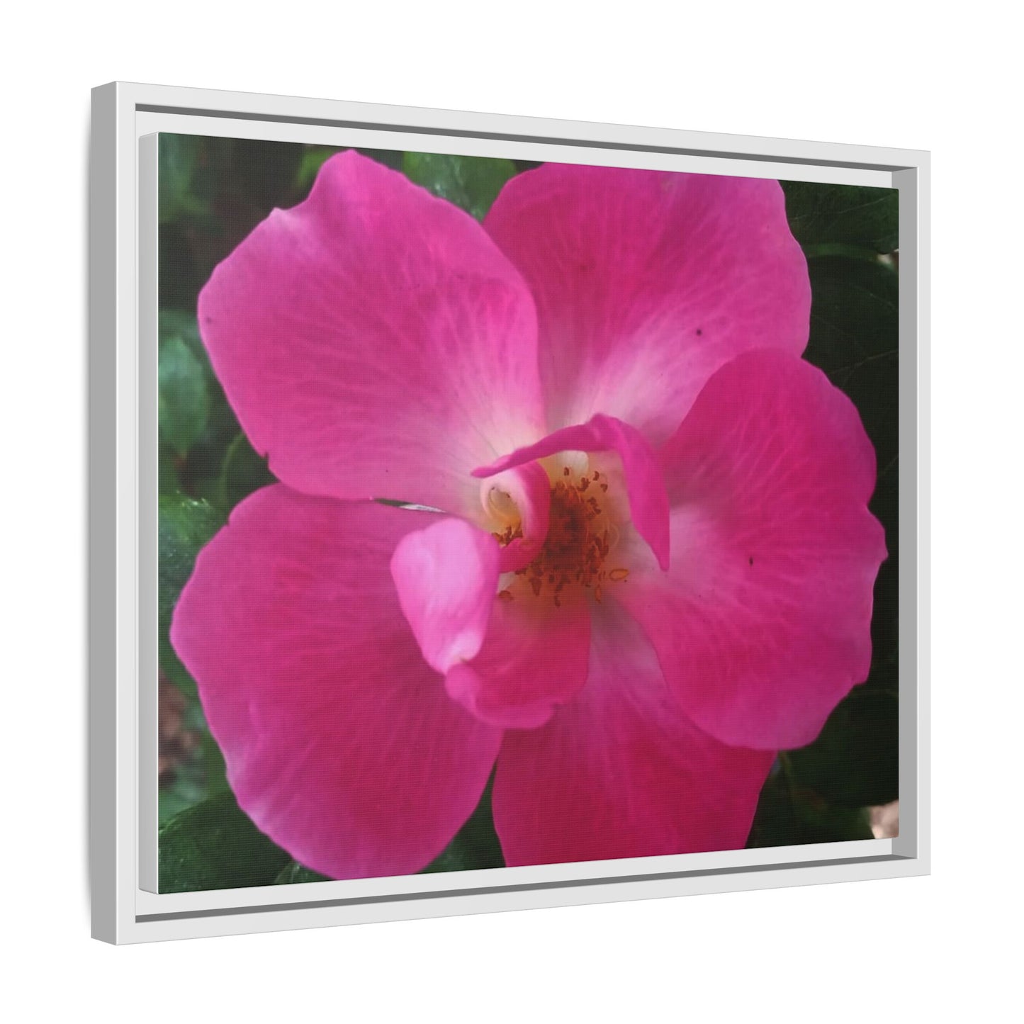 Framed Floral Canvas Art Print | Vibrant Pink Flower Decor, Wall Art for Home, Gift for Her, Mother's Day, Birthday