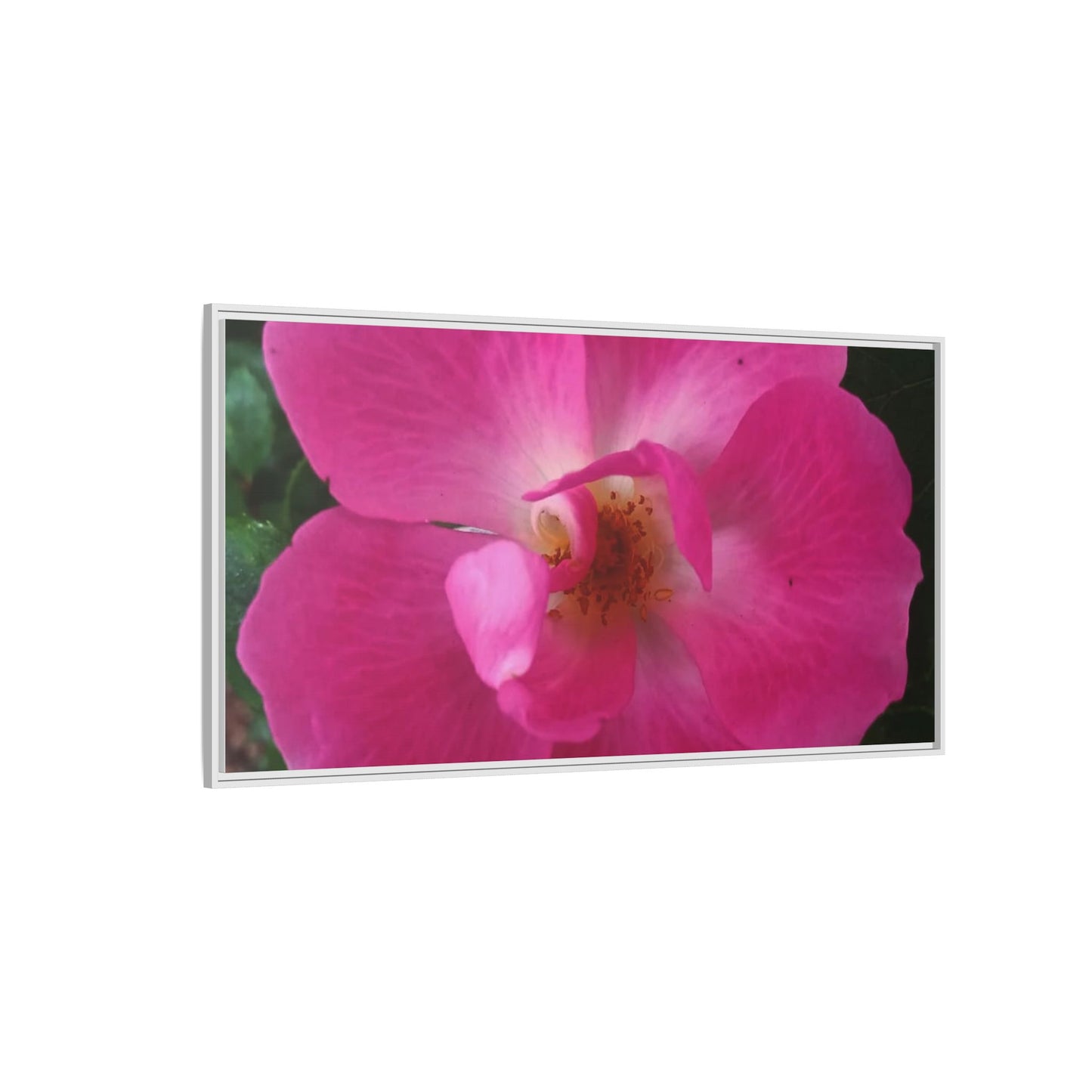 Framed Floral Canvas Art Print | Vibrant Pink Flower Decor, Wall Art for Home, Gift for Her, Mother's Day, Birthday