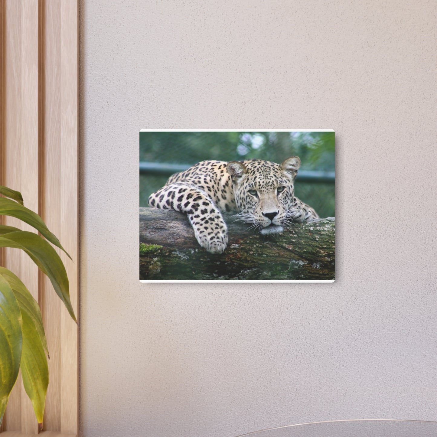 Metal Art Sign Cheetah