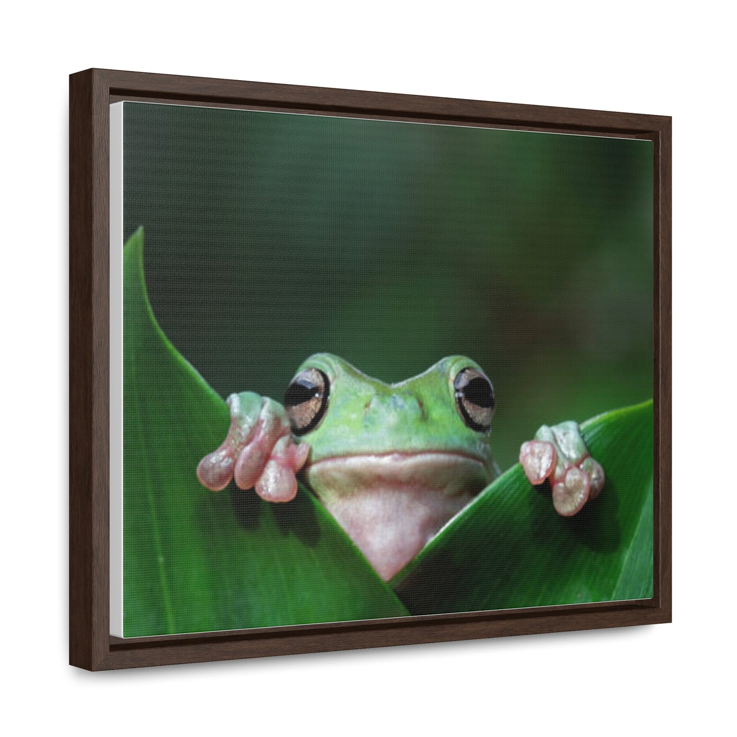 Gallery Canvas Wraps 14"x11", Horizontal Frame Frog