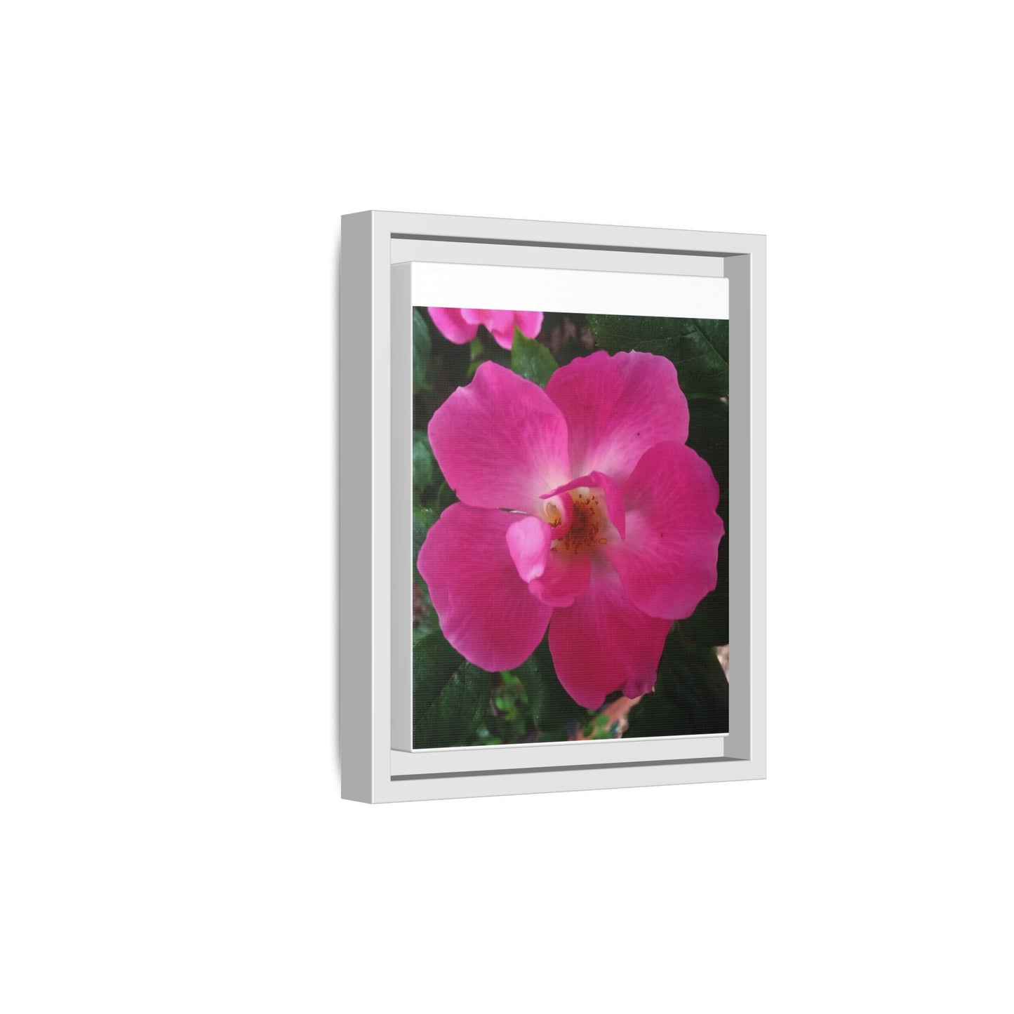 Framed Floral Canvas Art Print | Vibrant Pink Flower Decor, Wall Art for Home, Gift for Her, Mother's Day, Birthday