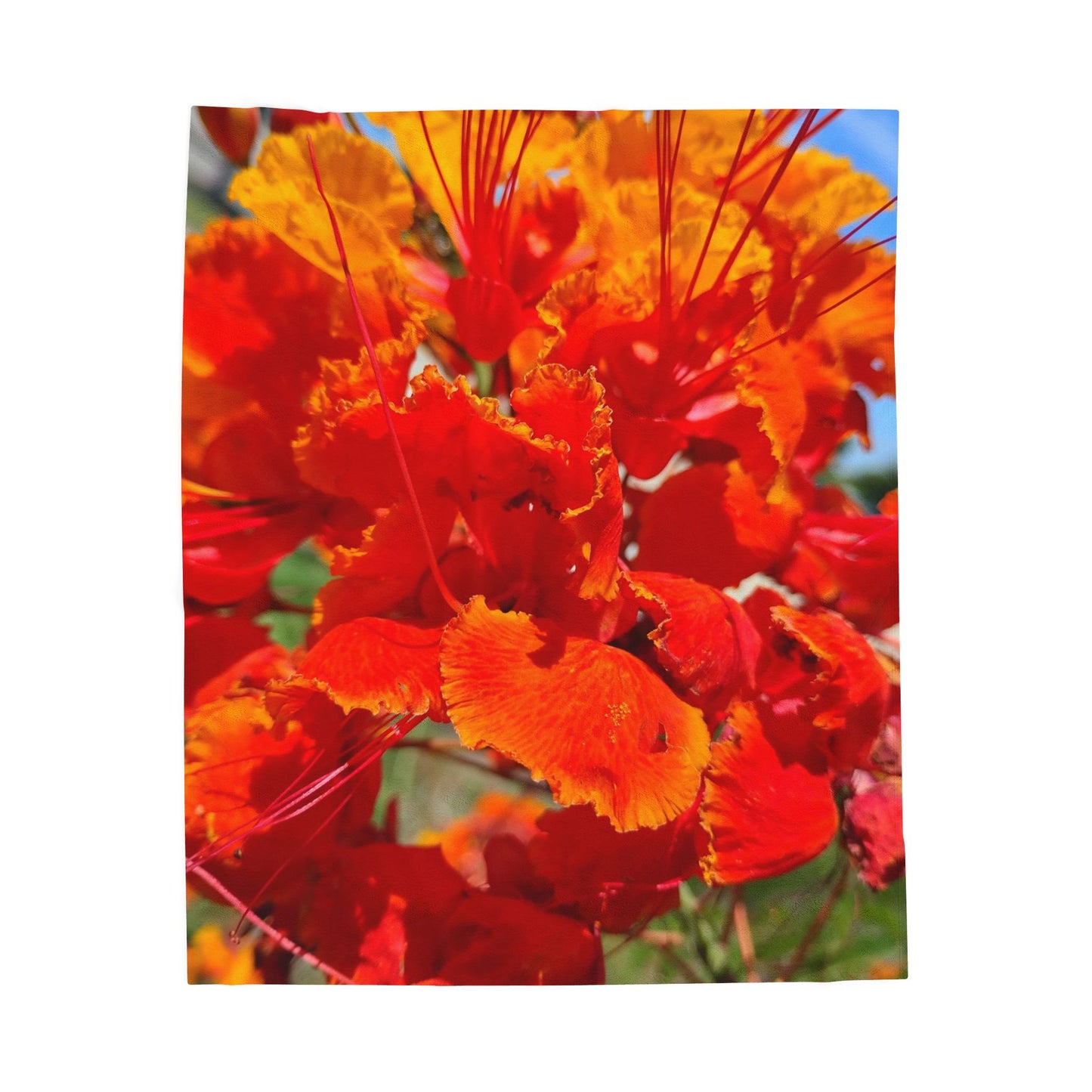 Velveteen Plush Blanket 50"x60" Vibrant Orange Flowers