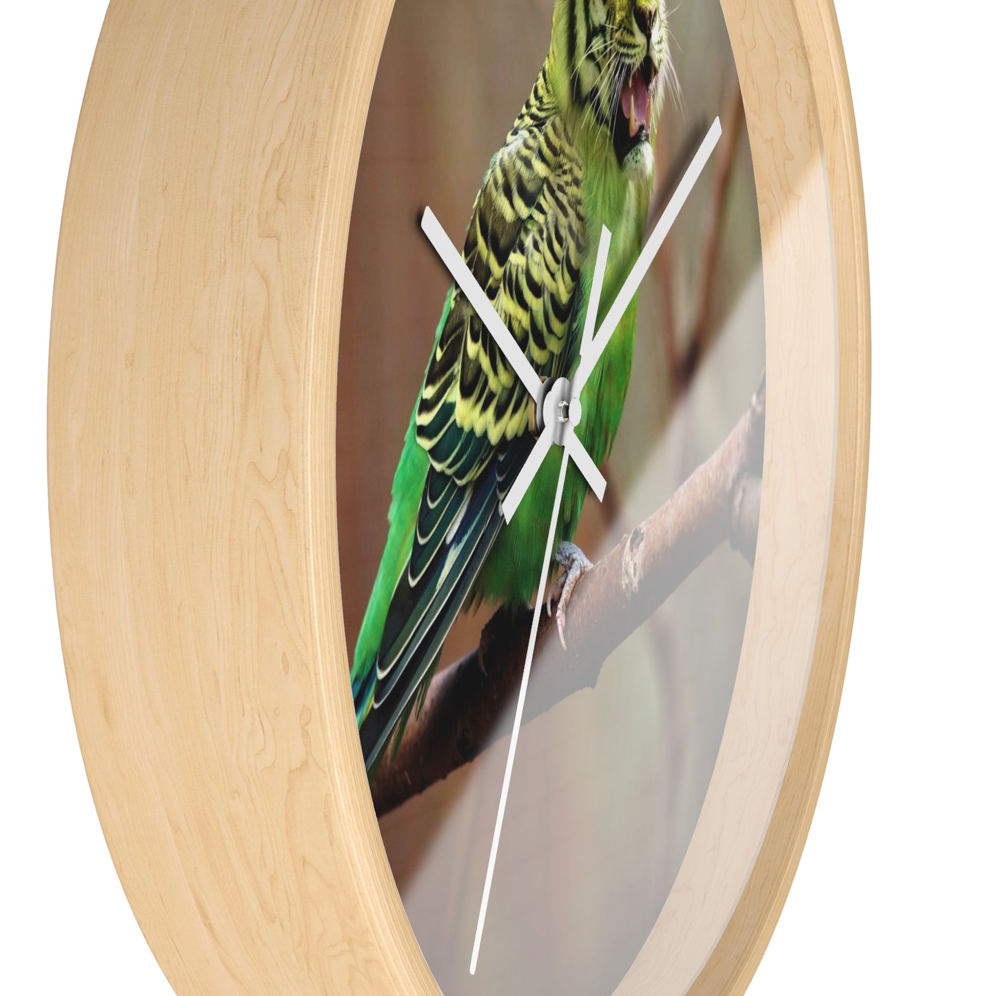 Wall clock Fierce looking Bird