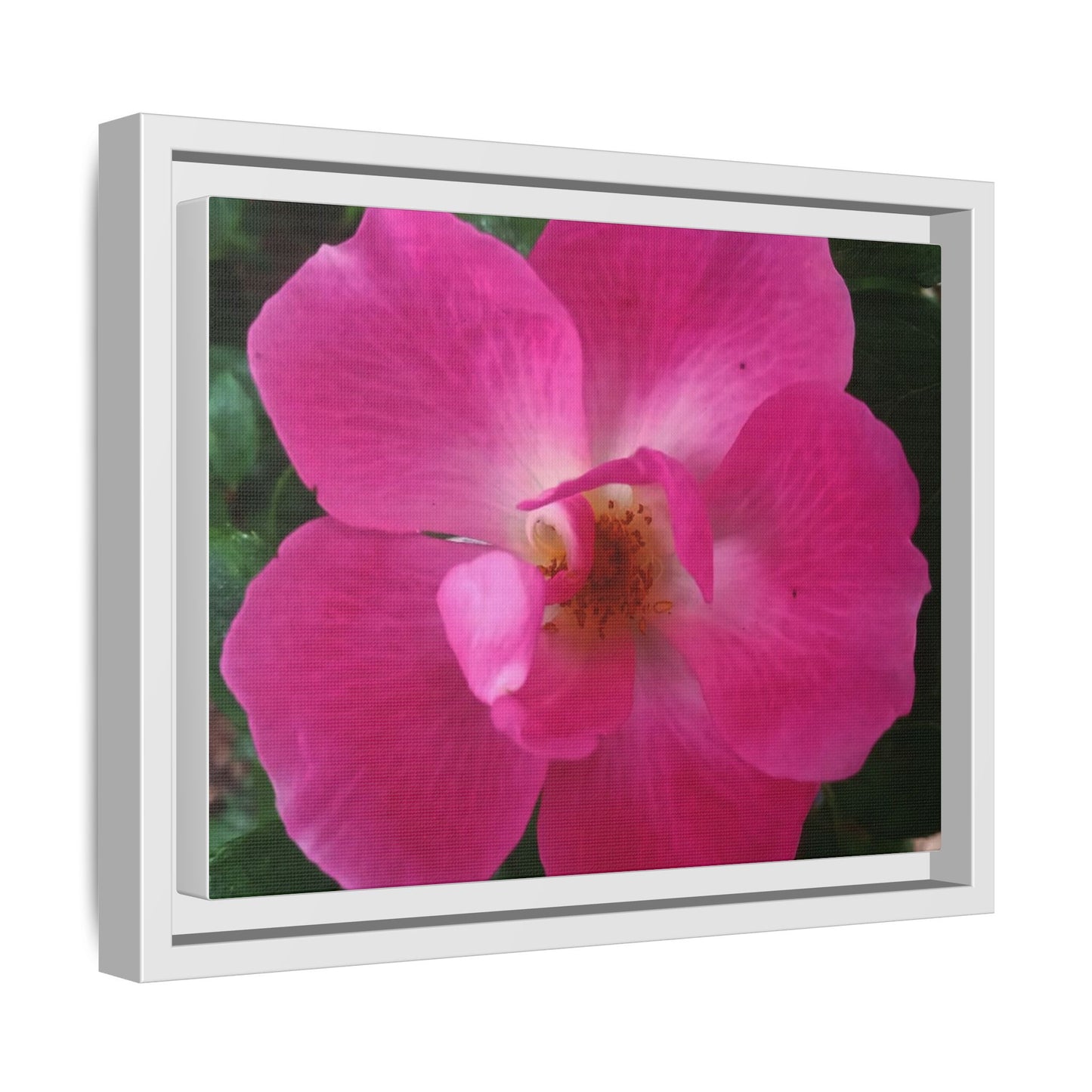 Framed Floral Canvas Art Print | Vibrant Pink Flower Decor, Wall Art for Home, Gift for Her, Mother's Day, Birthday