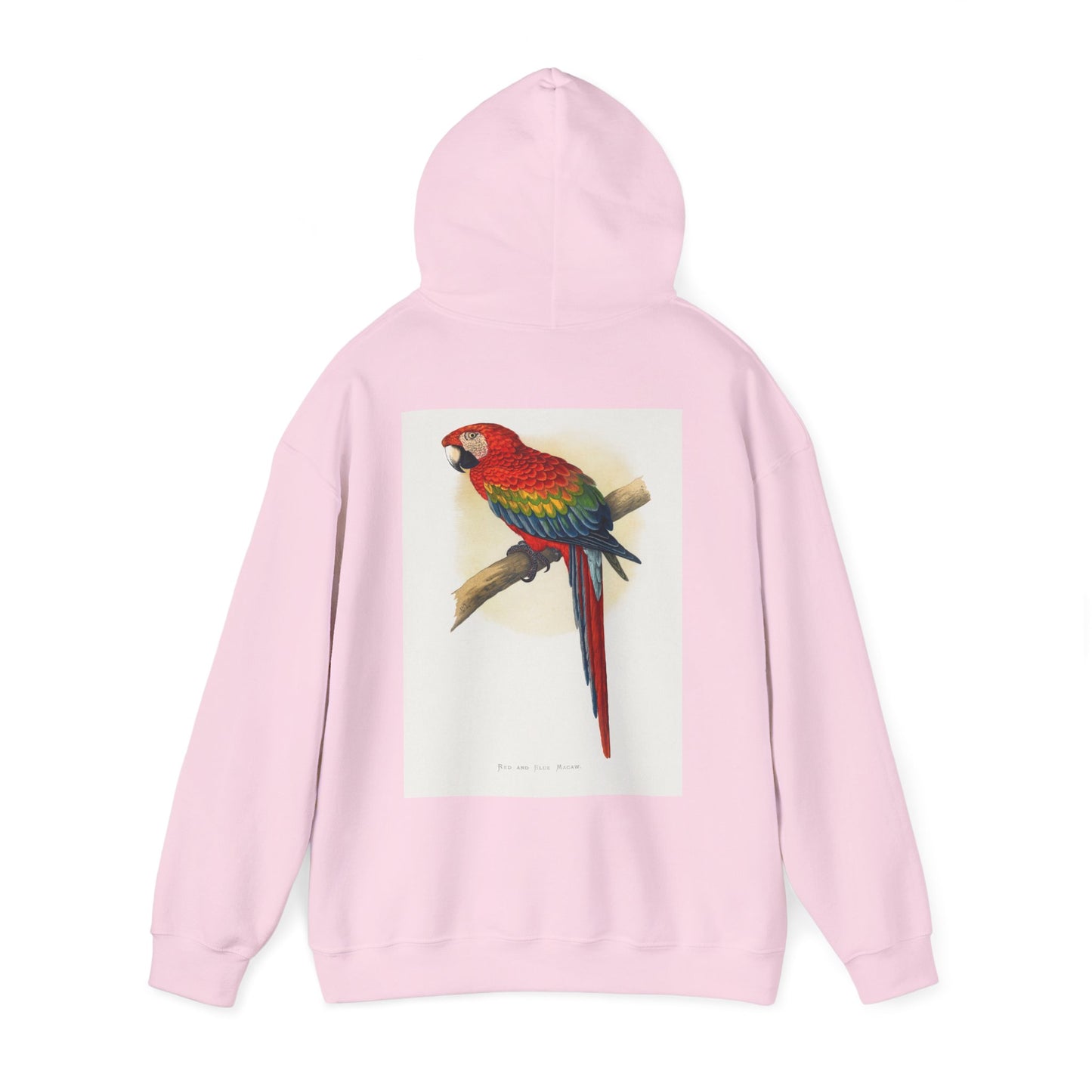 Colorful Parrot & Heart Hoodie - Unisex Heavy Blend Sweatshirt, Tropical Vibe Apparel, Perfect for Animal Lovers, Gift for Birthdays and Holidays