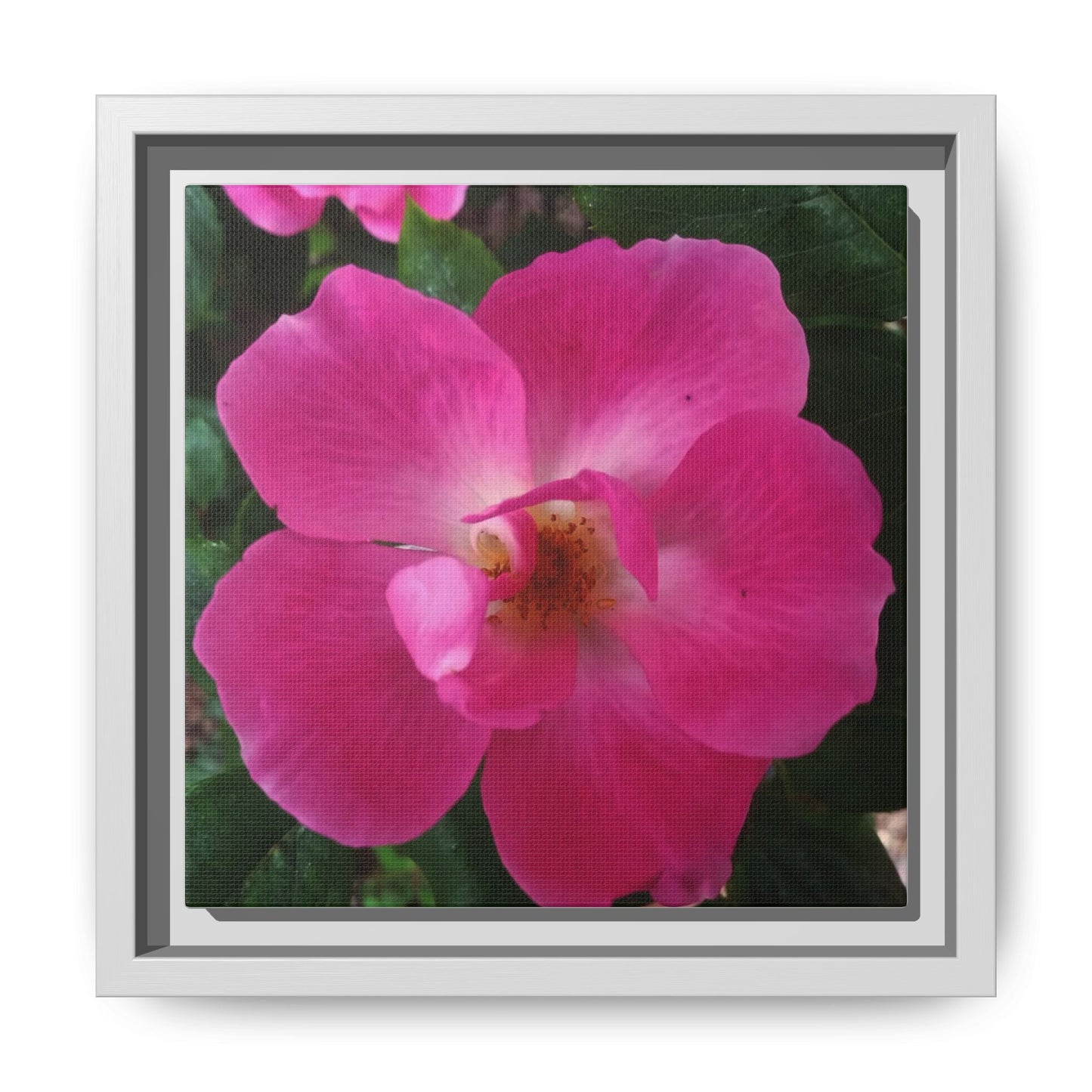 Framed Floral Canvas Art Print | Vibrant Pink Flower Decor, Wall Art for Home, Gift for Her, Mother's Day, Birthday
