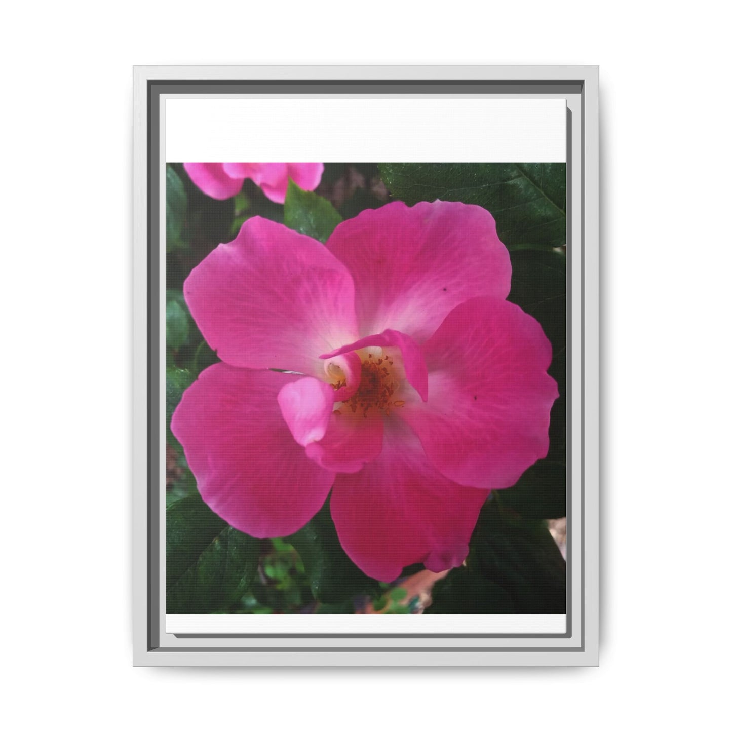 Framed Floral Canvas Art Print | Vibrant Pink Flower Decor, Wall Art for Home, Gift for Her, Mother's Day, Birthday