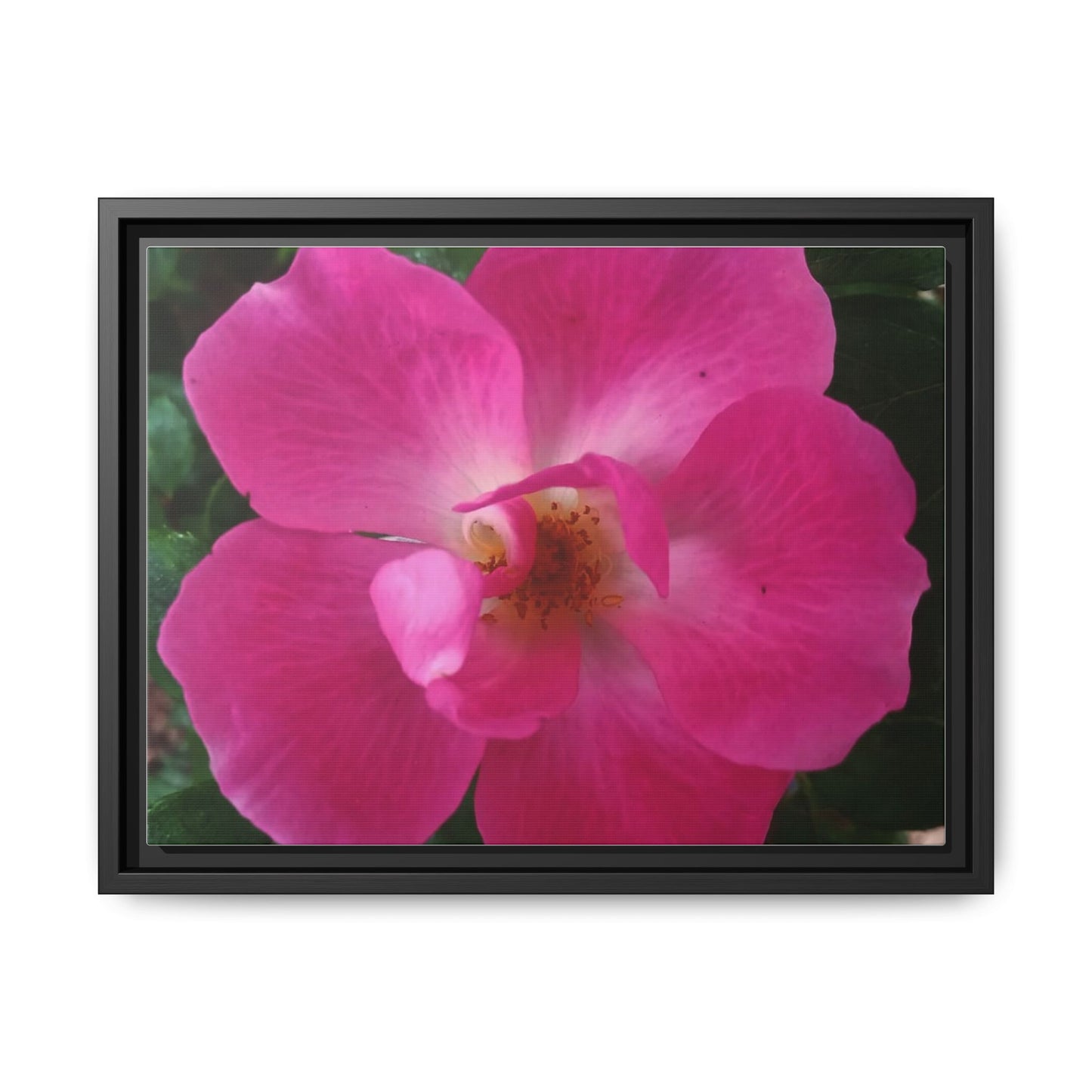 Framed Floral Canvas Art Print | Vibrant Pink Flower Decor, Wall Art for Home, Gift for Her, Mother's Day, Birthday