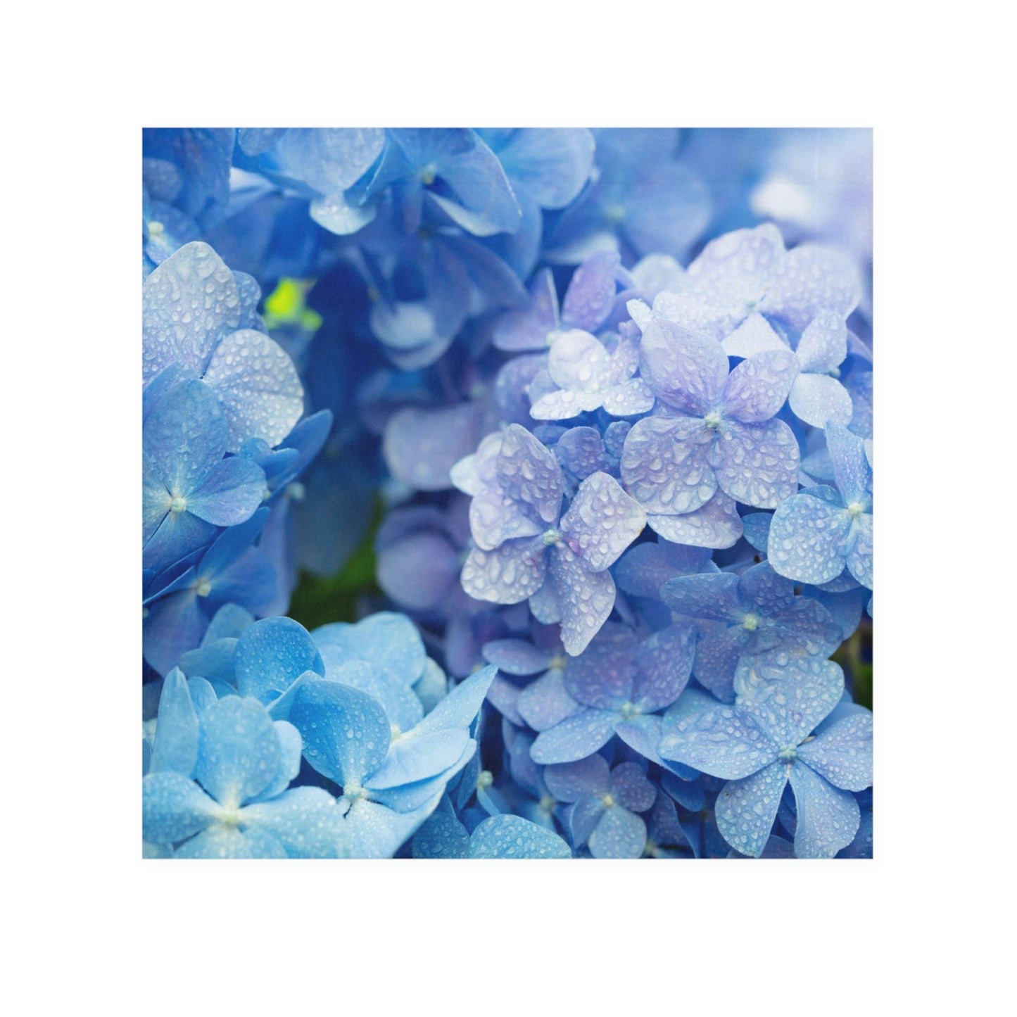 Toalla facial con flores moradas. ¡Excelente regalo!