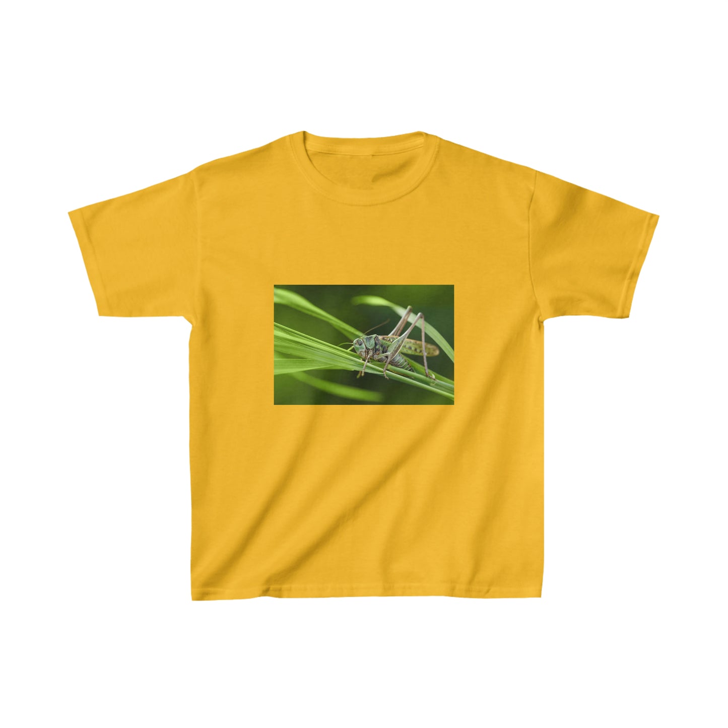 Grasshopper on Grass. Youth T-shirt. Custom Artwork. Unique Whimsical Flare. Vivid Colors. Soft against your skin. Comfortable to wear everyday of the week. Looking Fabulous!