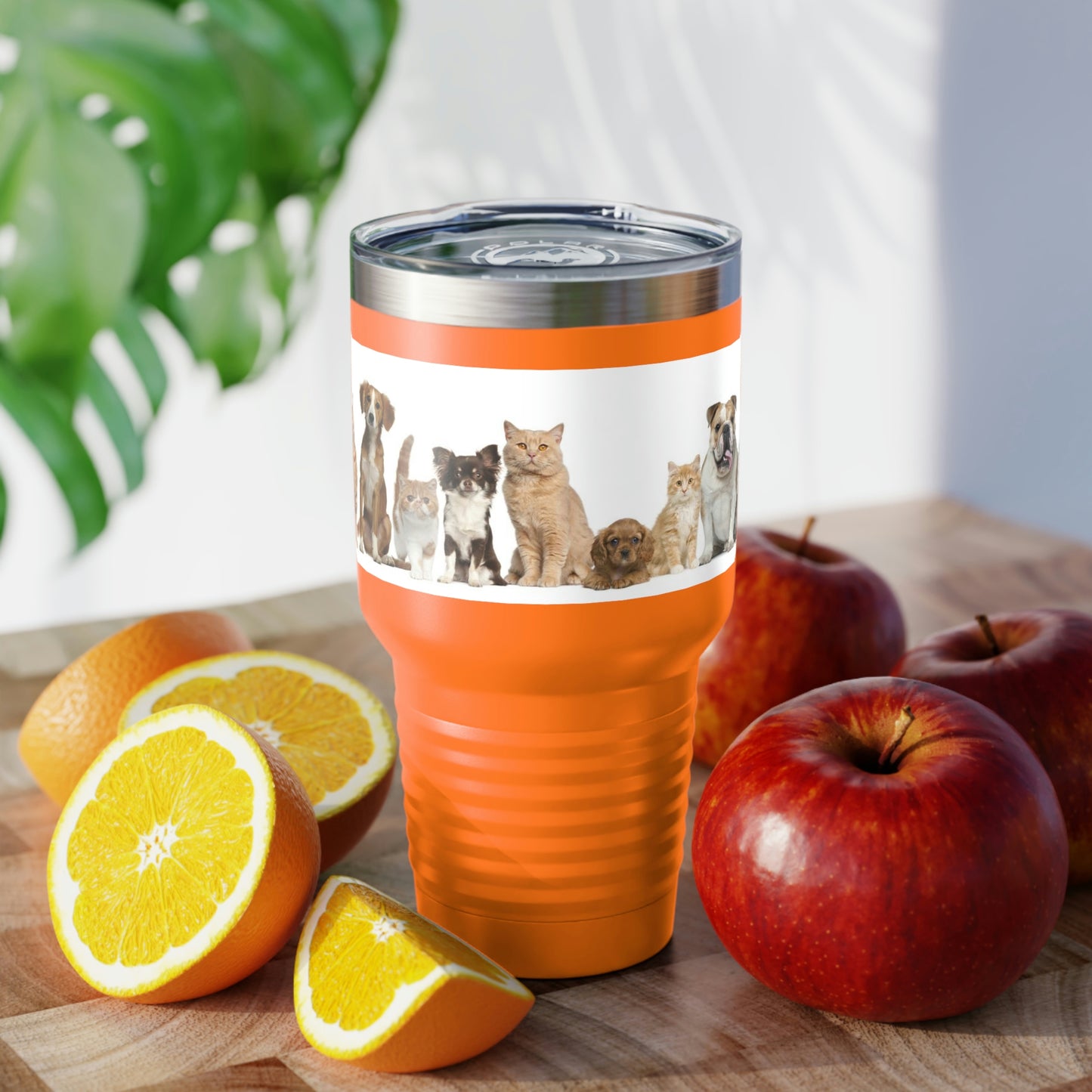 Cats Dogs Ringneck Tumbler, 30oz 5 Colors Traveling Work Relaxing Shopping Yard Work Hiking