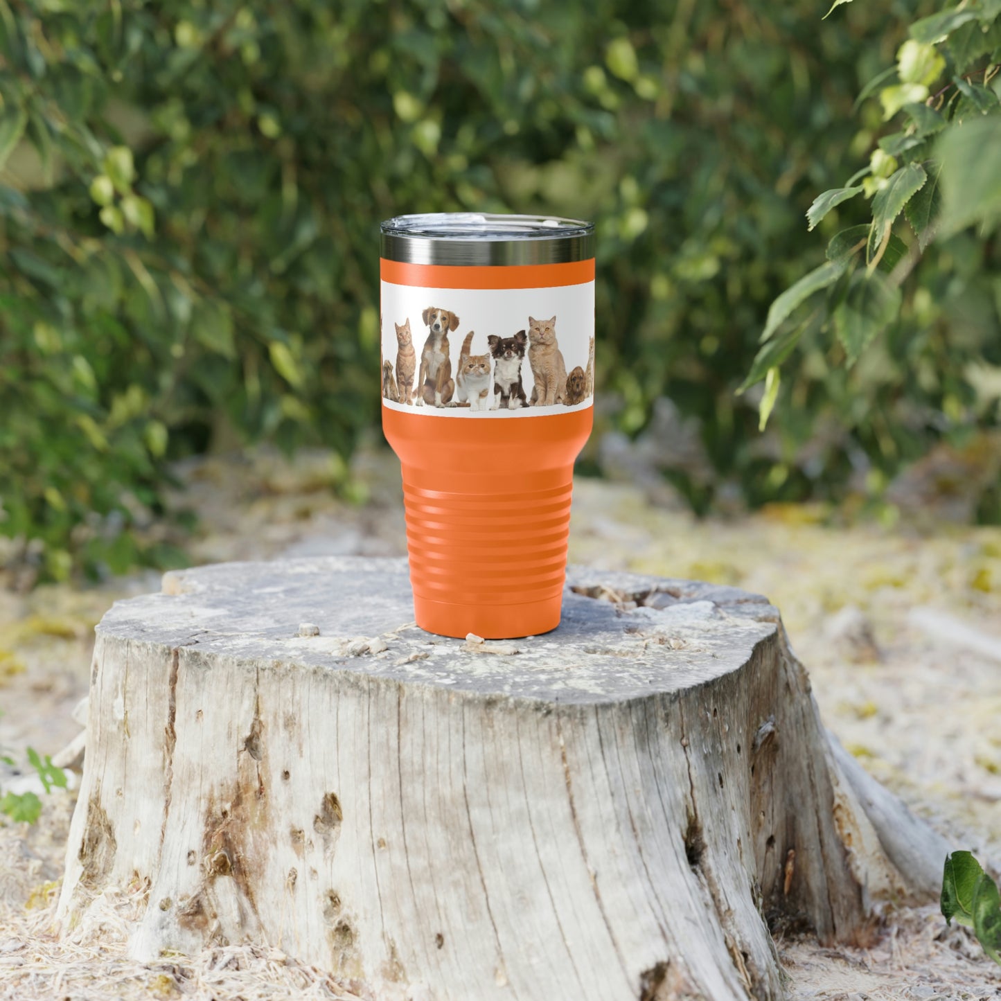 Cats Dogs Ringneck Tumbler, 30oz 5 Colors Traveling Work Relaxing Shopping Yard Work Hiking