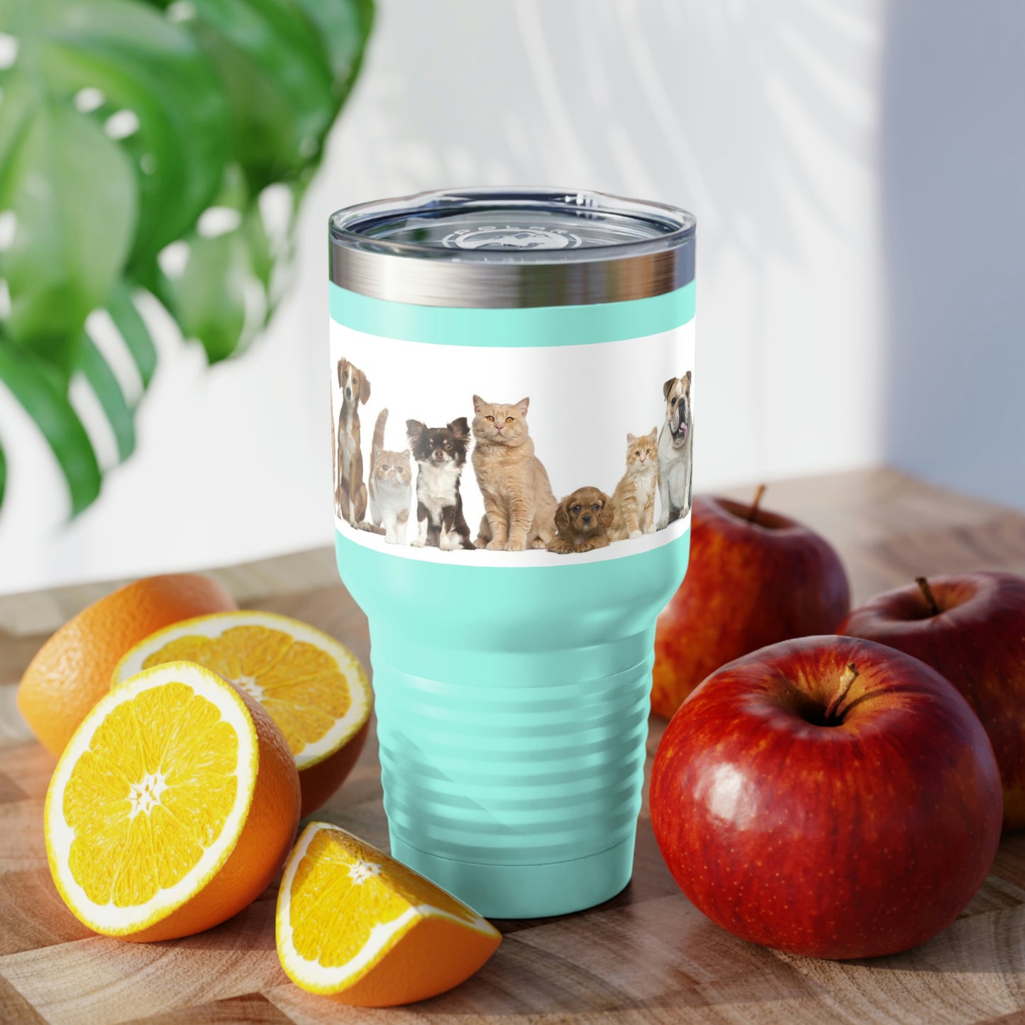 Cats Dogs Ringneck Tumbler, 30oz 5 Colors Traveling Work Relaxing Shopping Yard Work Hiking