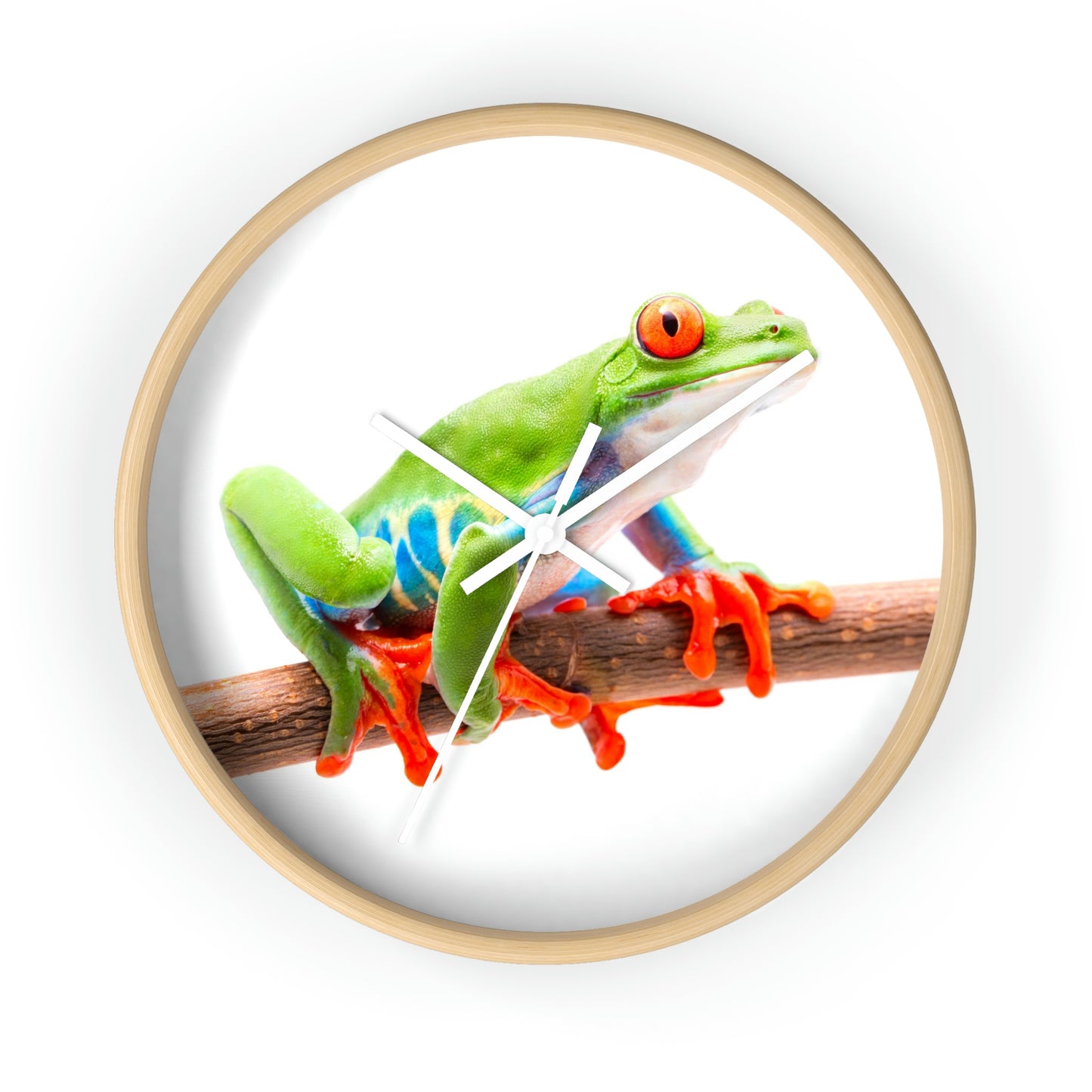 Horloge murale colorée en forme de grenouille arboricole. J'adore ça !