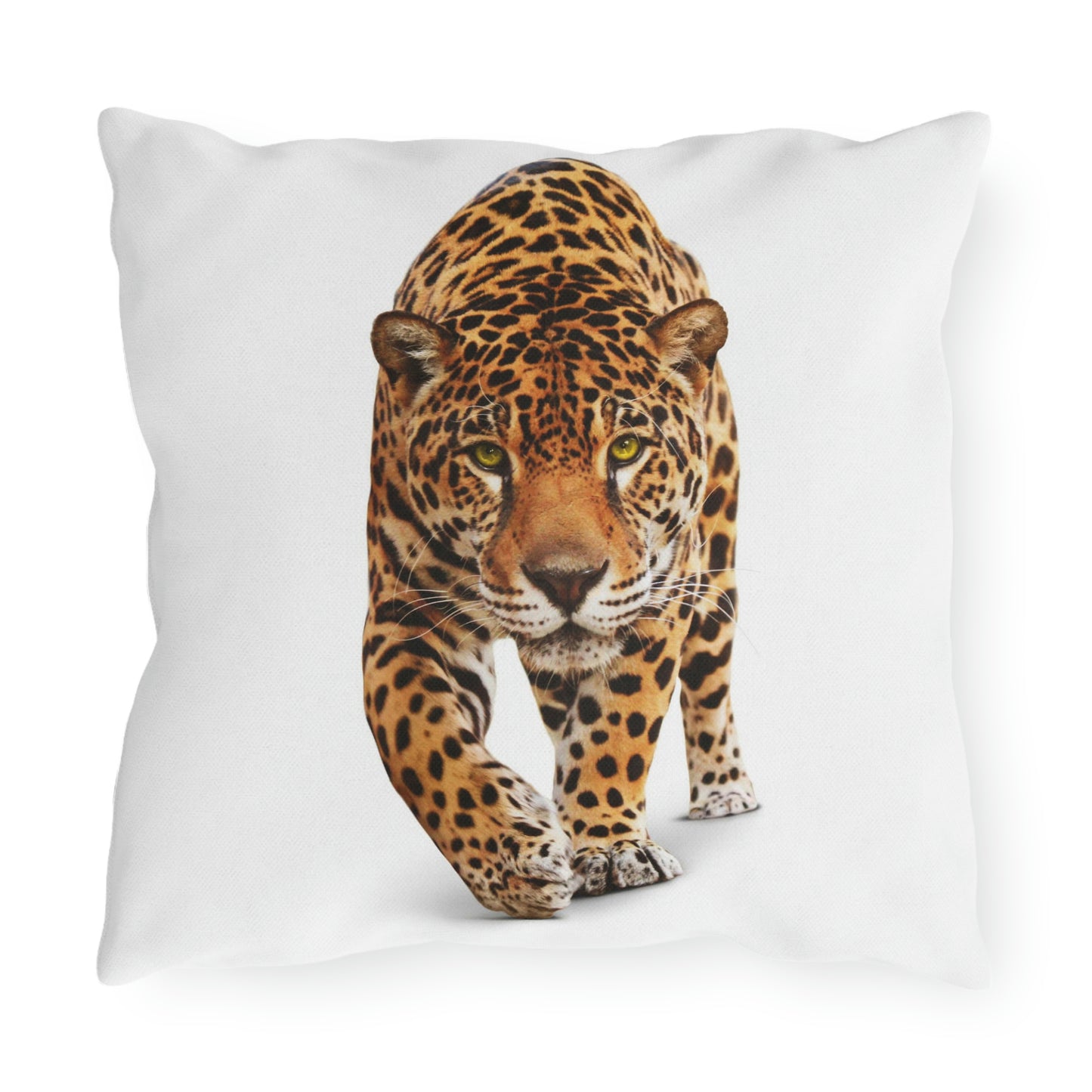 Coussins d'extérieur Cheetah Se détendre dans mon jardin en s'amusant !