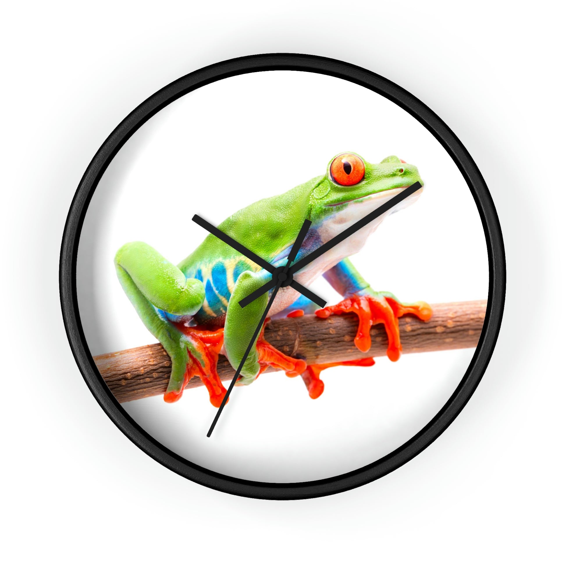 Colorful Tree Frog. Wall Clock. Custom Artwork. Unique Whimsical Flare. Vivid Colors. Great to have in in your home and business. Looks Fabulous on the walls, definitely a splash of color. Such a wonderful Gift!