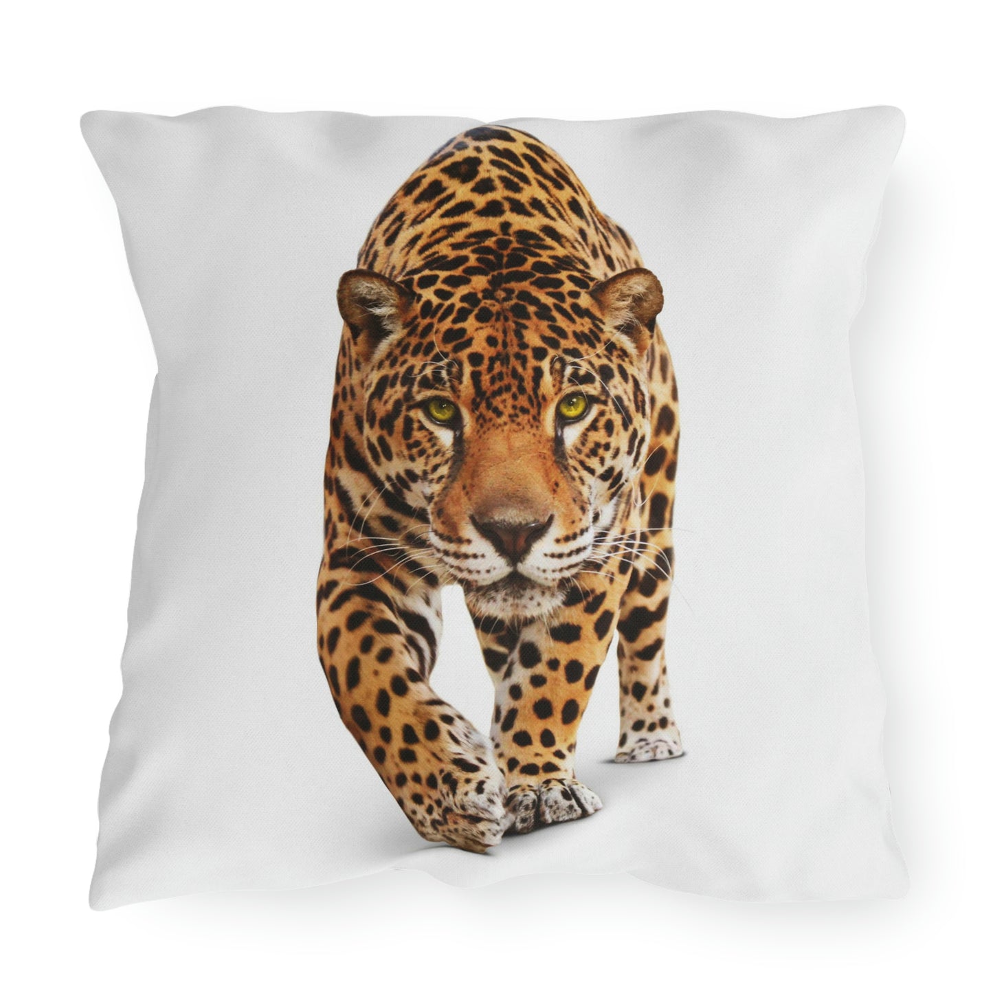 Coussins d'extérieur Cheetah Se détendre dans mon jardin en s'amusant !