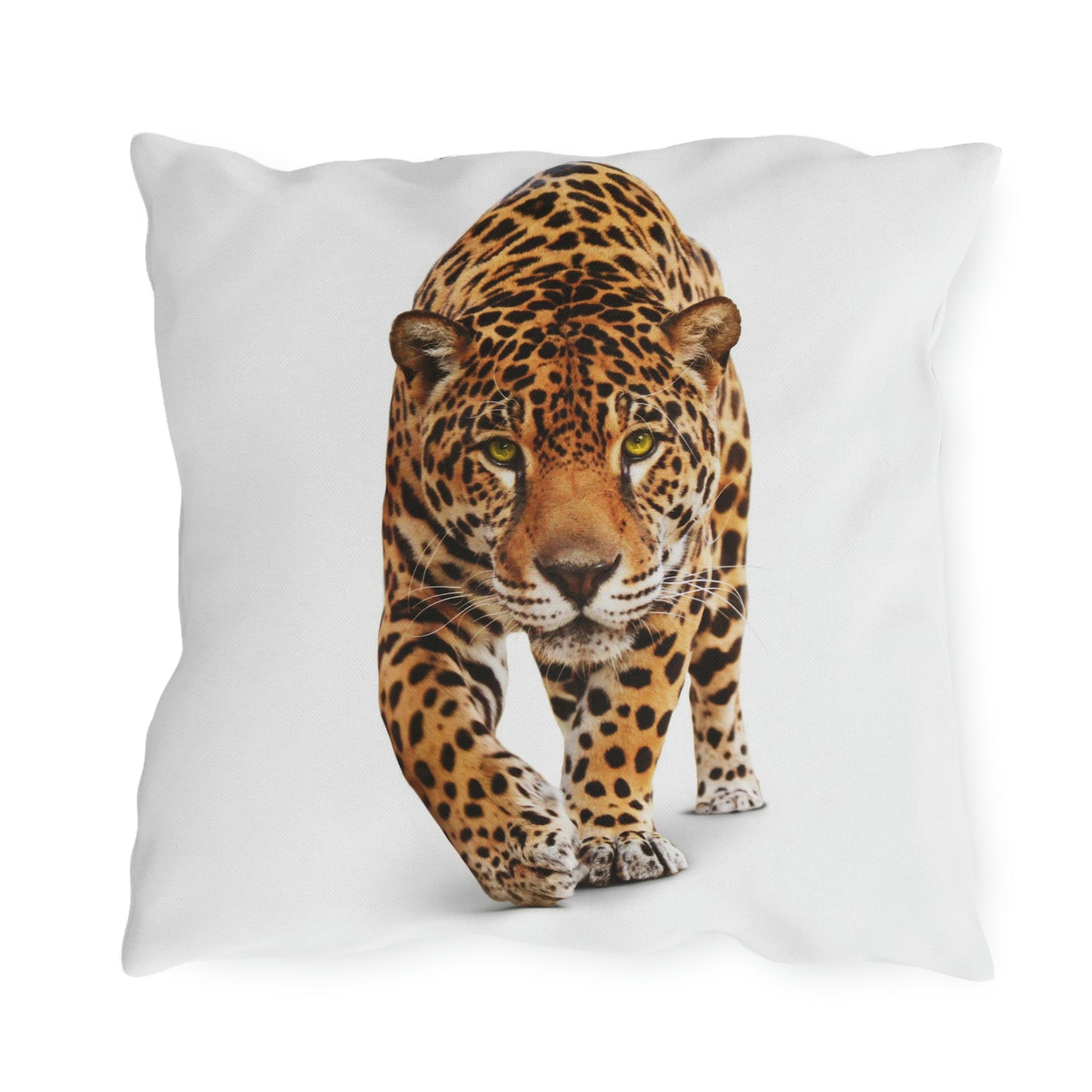 Coussins d'extérieur Cheetah Se détendre dans mon jardin en s'amusant !