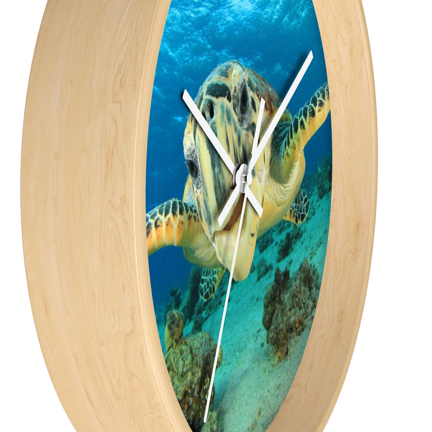 Turtle in Ocean Wall Clock The Colors are Amazing! Great Gift!