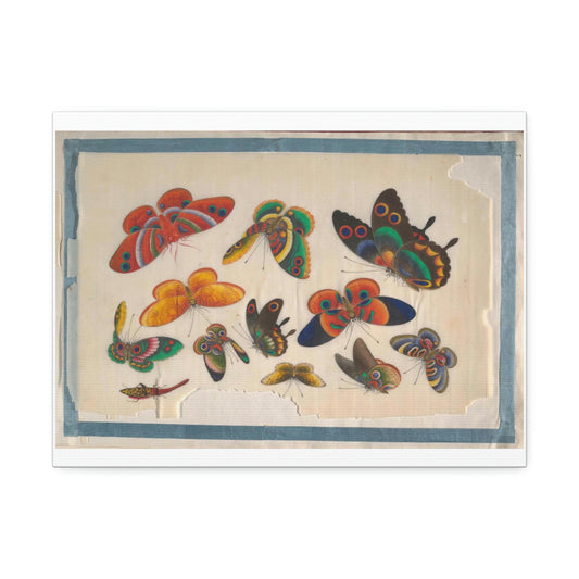 Fluttering Butteries Canvas The Metropolitan Museum of Art in New York