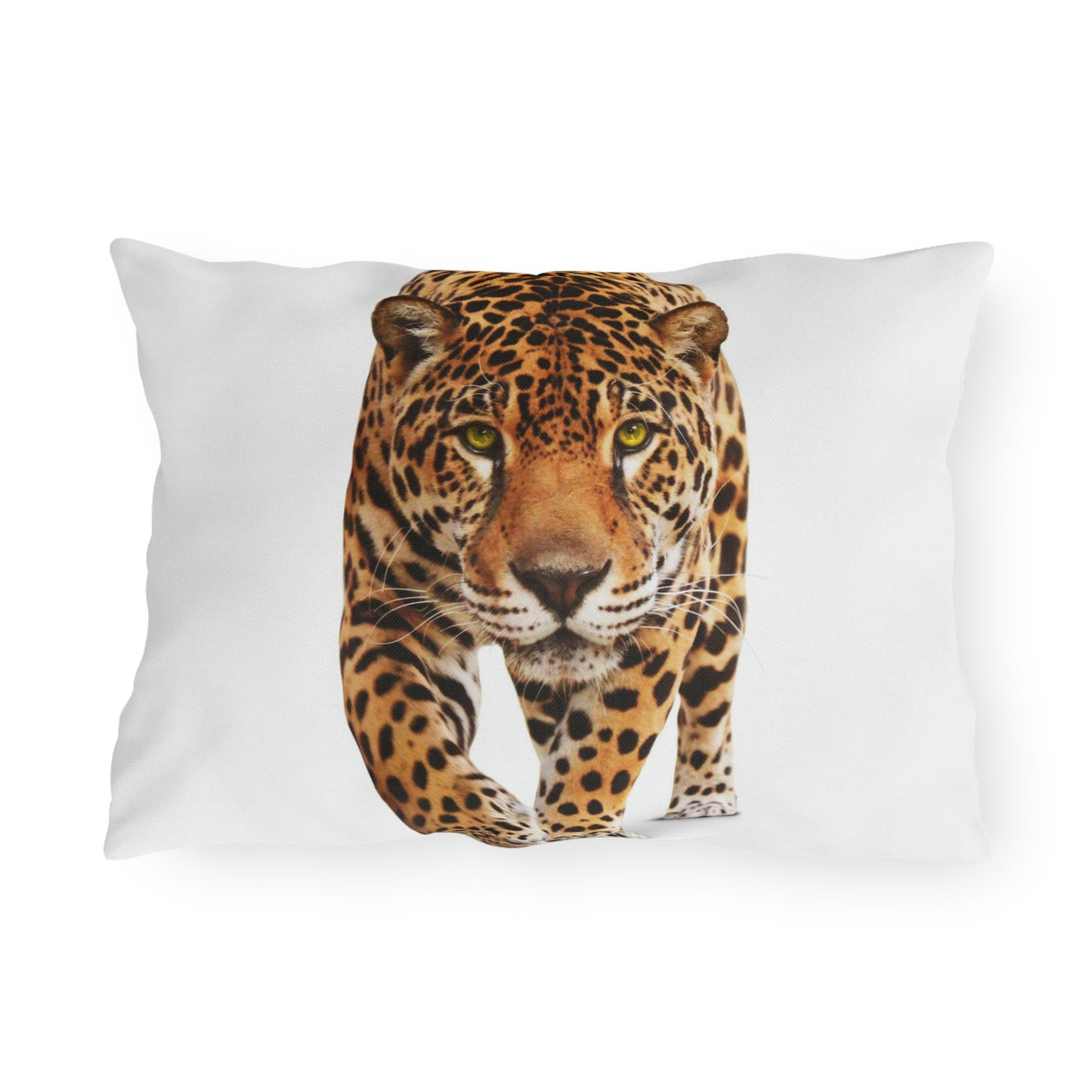 Coussins d'extérieur Cheetah Se détendre dans mon jardin en s'amusant !