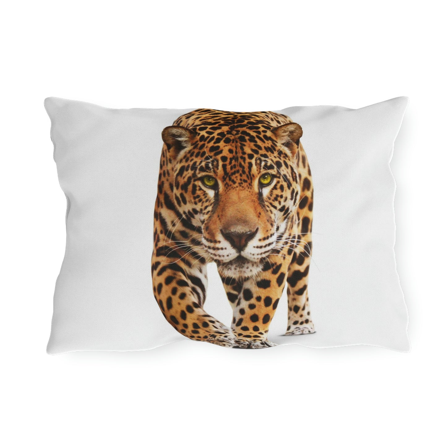 Coussins d'extérieur Cheetah Se détendre dans mon jardin en s'amusant !