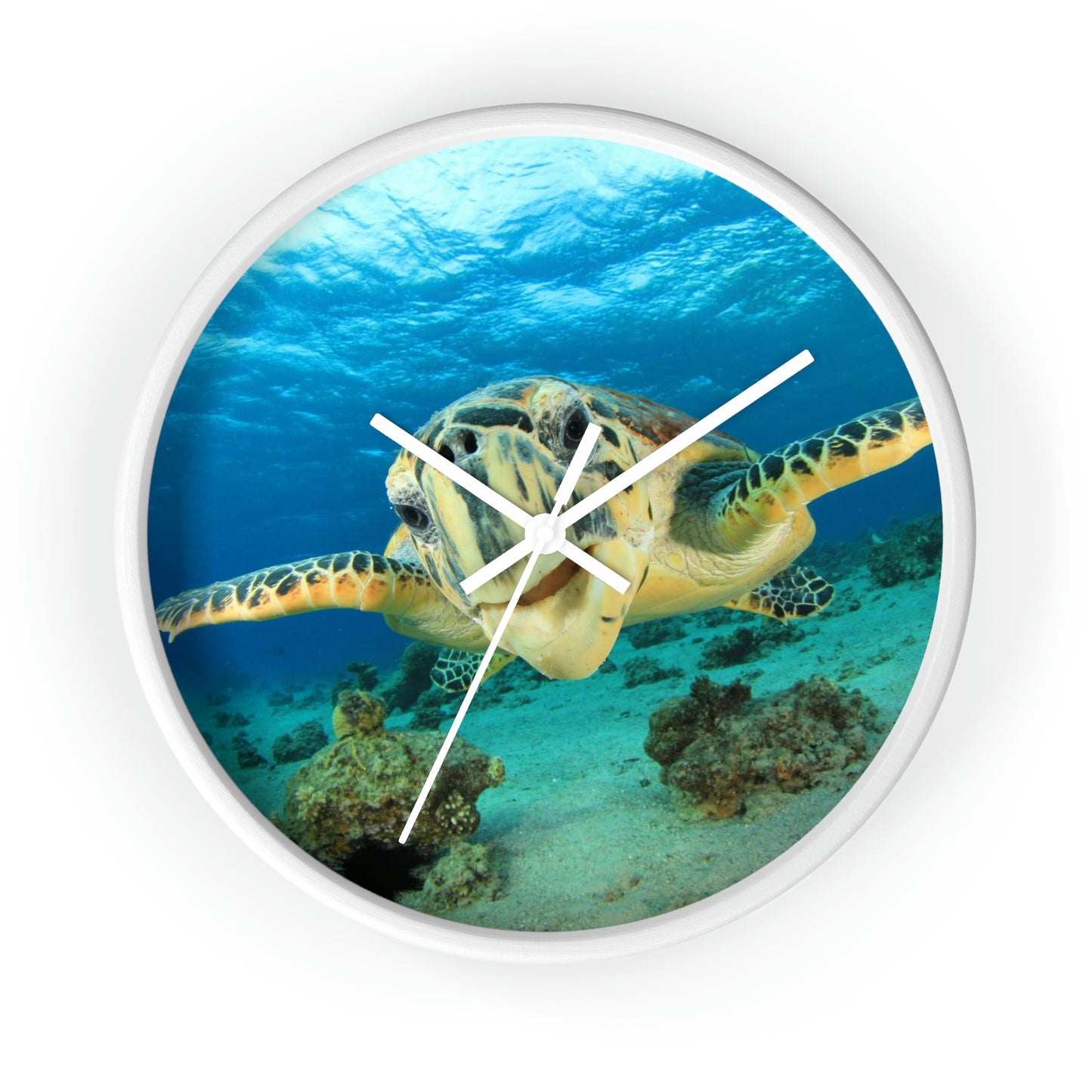 Turtle in Ocean Wall Clock The Colors are Amazing! Great Gift!