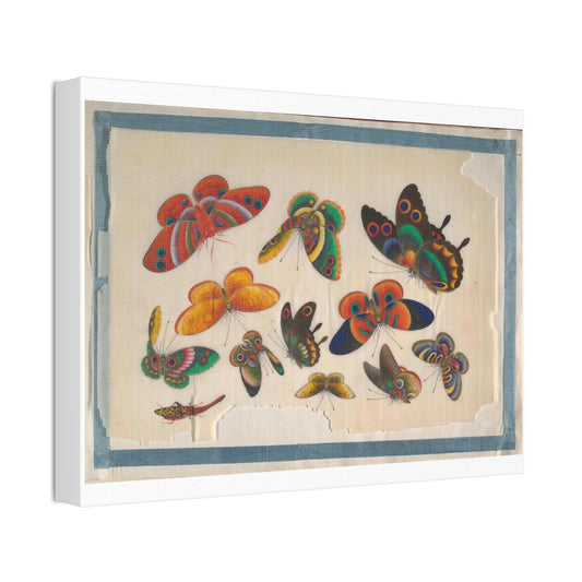 Fluttering Butteries Canvas The Metropolitan Museum of Art in New York