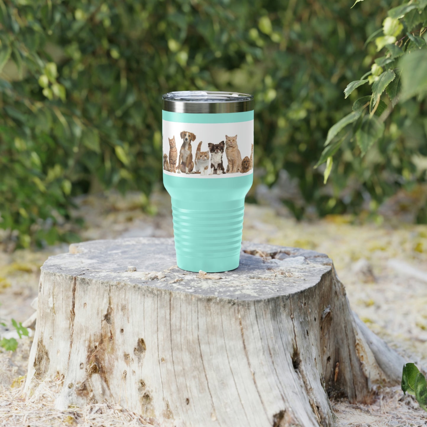 Cats Dogs Ringneck Tumbler, 30oz 5 Colors Traveling Work Relaxing Shopping Yard Work Hiking