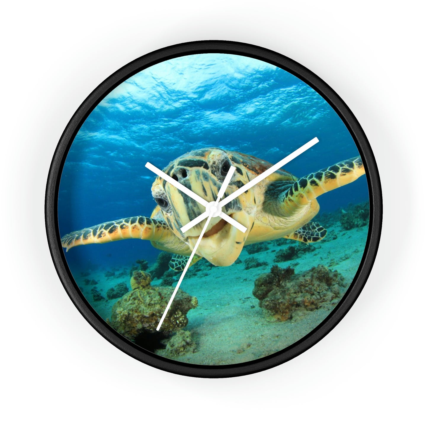 Turtle in Ocean Wall Clock The Colors are Amazing! Great Gift!