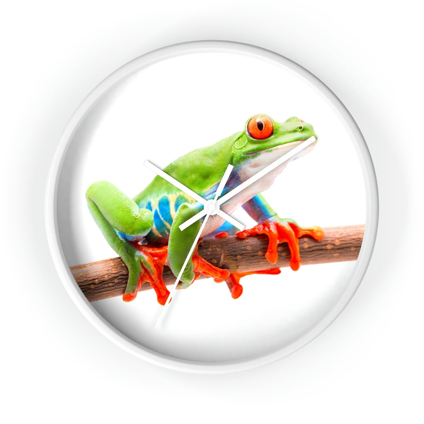 Horloge murale colorée en forme de grenouille arboricole. J'adore ça !