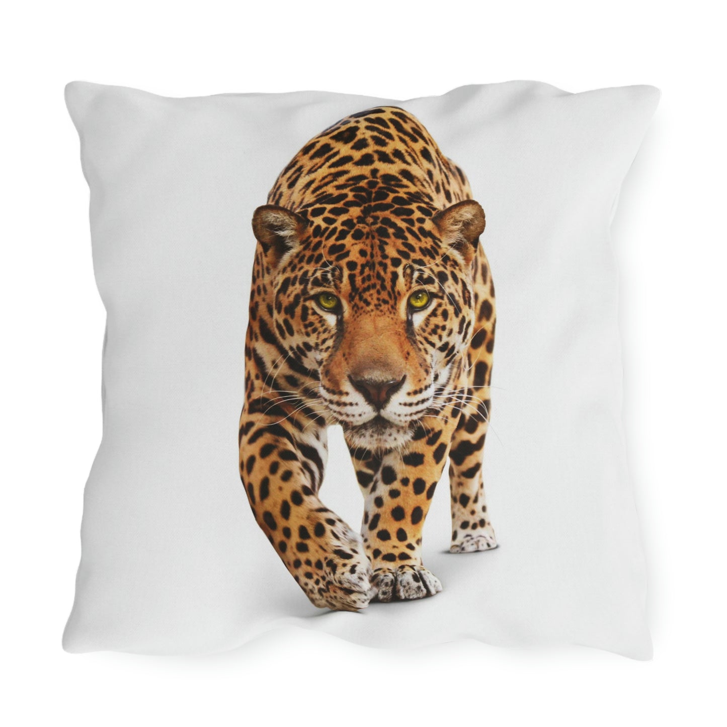 Coussins d'extérieur Cheetah Se détendre dans mon jardin en s'amusant !