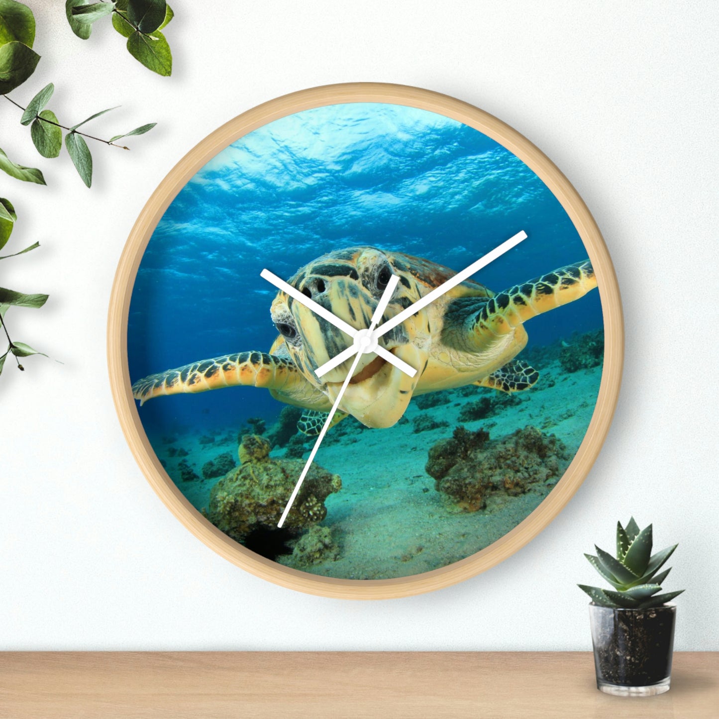 Turtle in Ocean Wall Clock The Colors are Amazing! Great Gift!